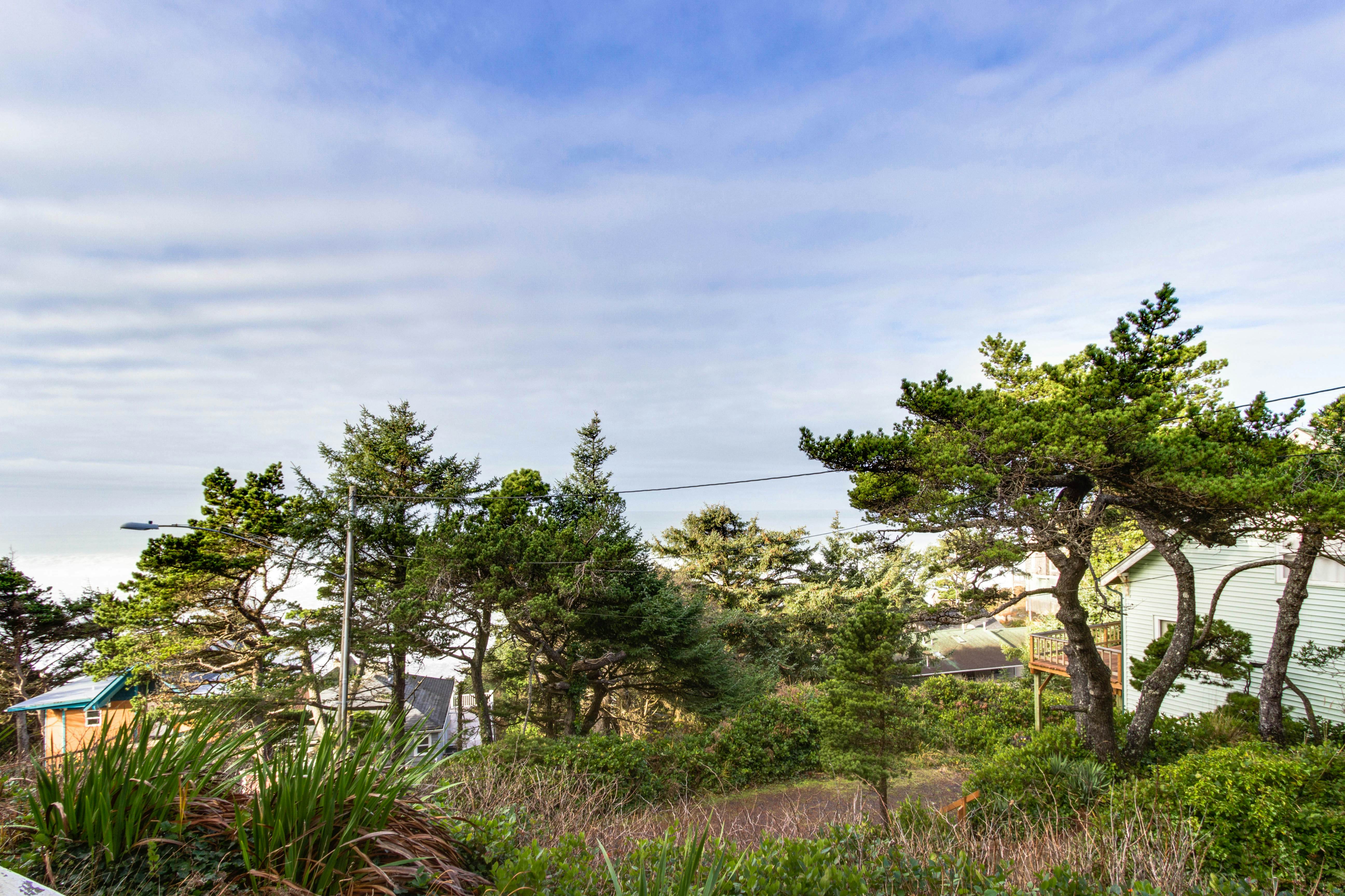 Lower-Level, Dog-Friendly Studio with Ocean Views & Free WiFi - Walk to Beach