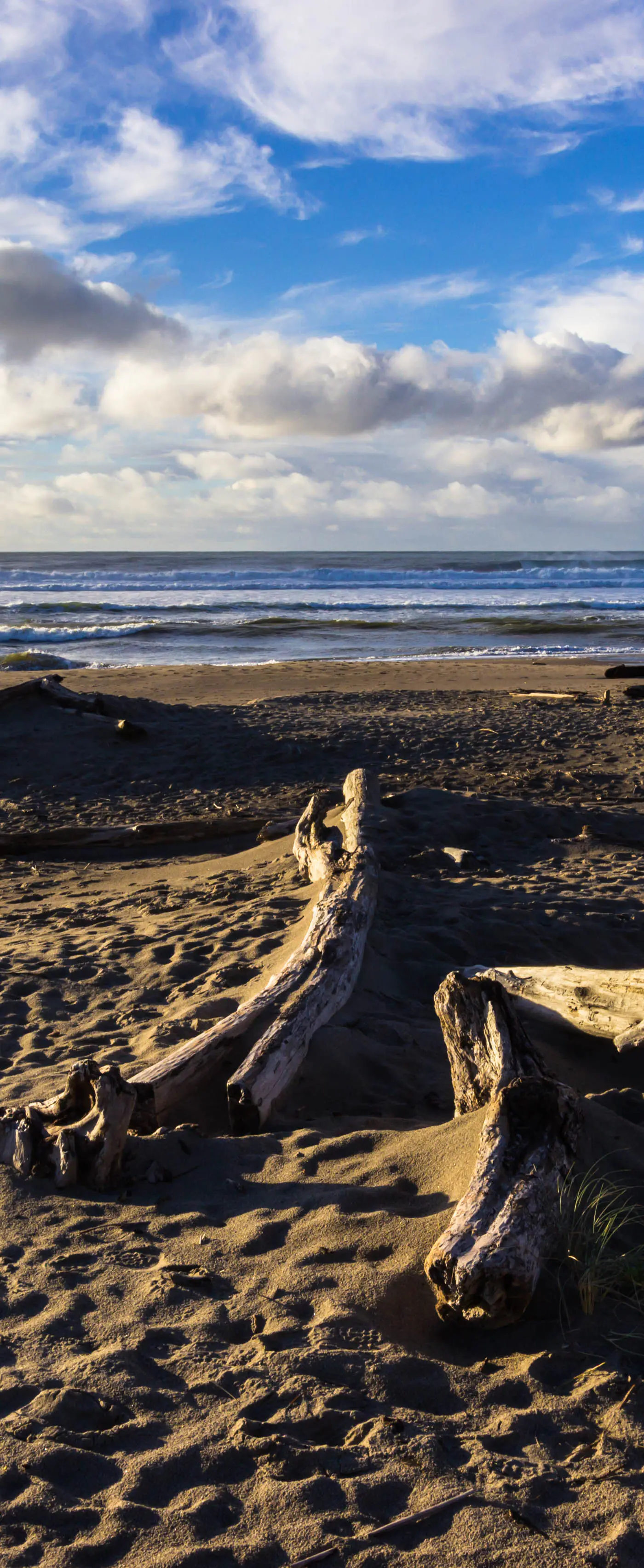 Romantic Ocean View Suite with Easy Beach Access Dog Friendly