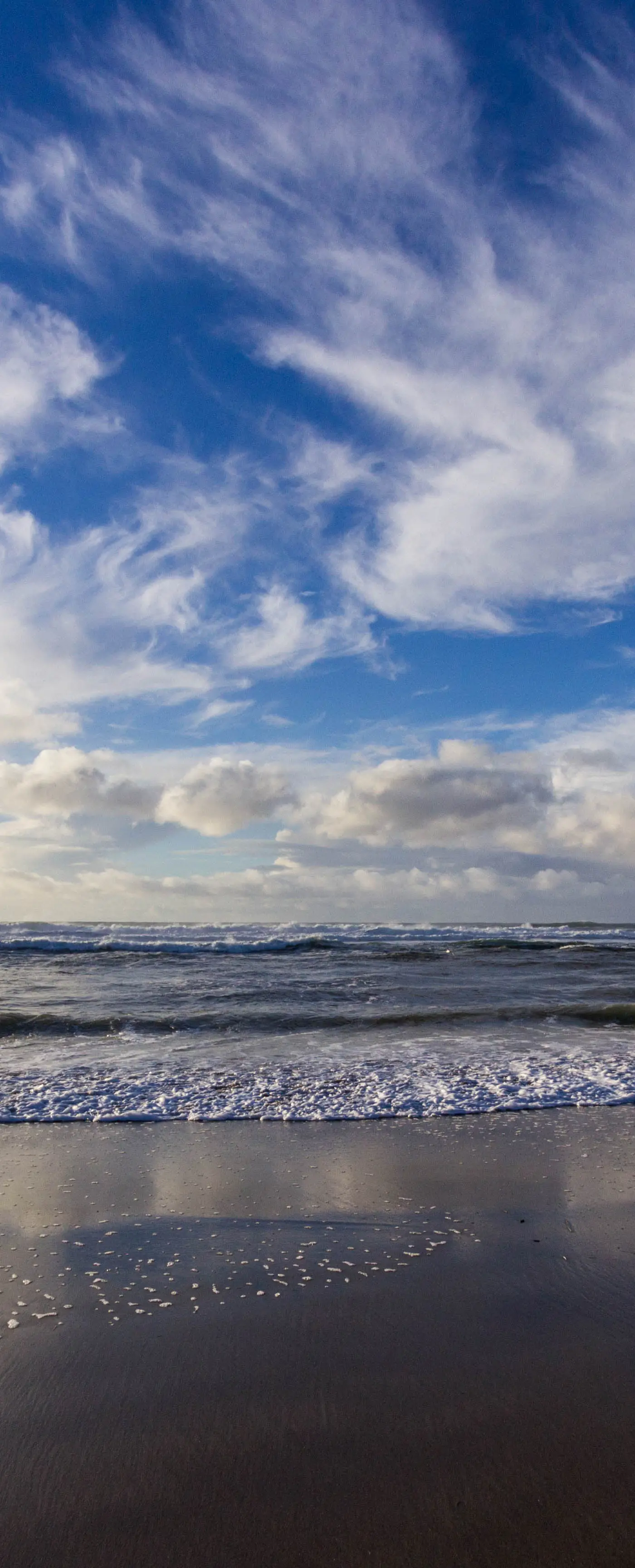 Romantic Ocean View Suite with Easy Beach Access Dog Friendly