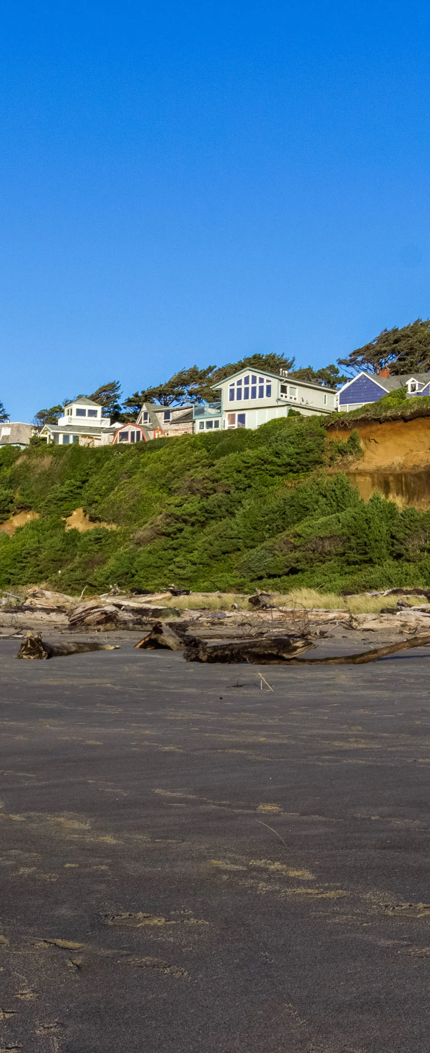 Romantic Ocean View Suite with Easy Beach Access Dog Friendly