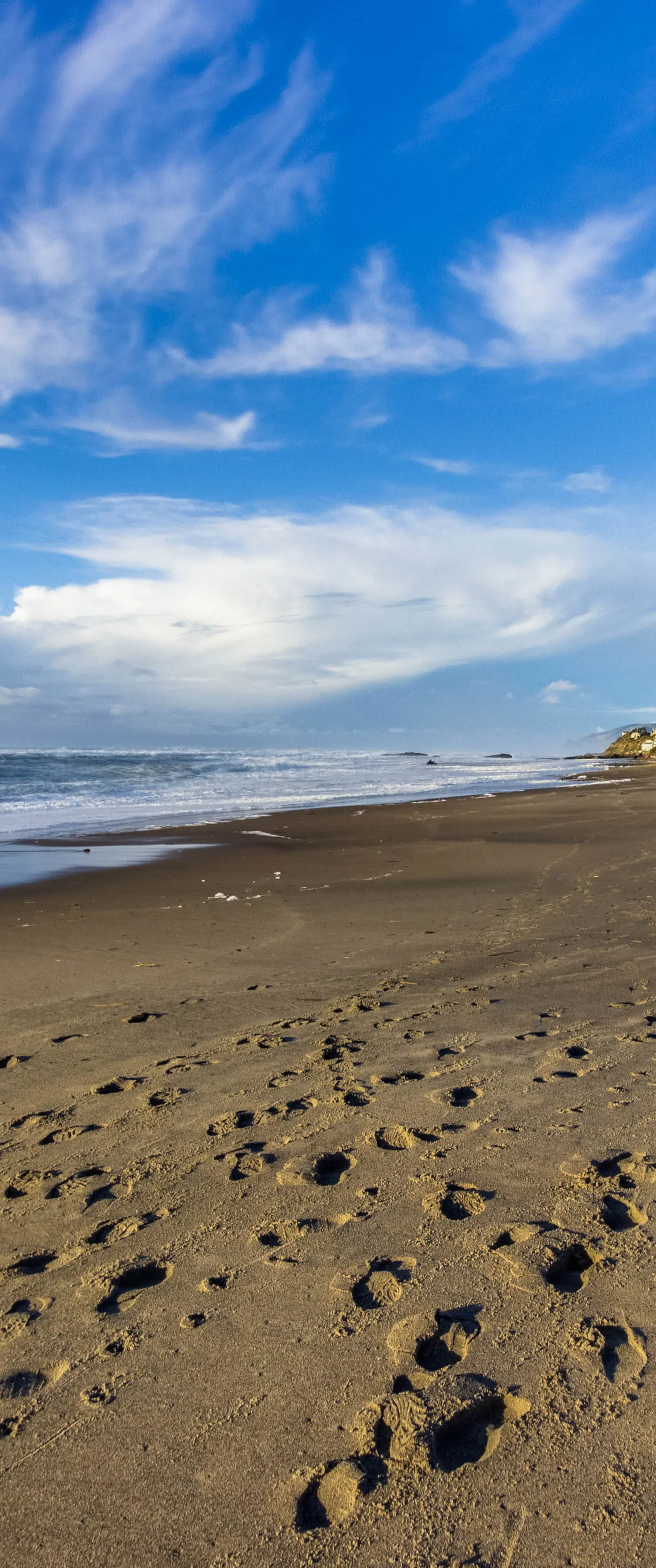 Romantic Ocean View Suite with Easy Beach Access Dog Friendly
