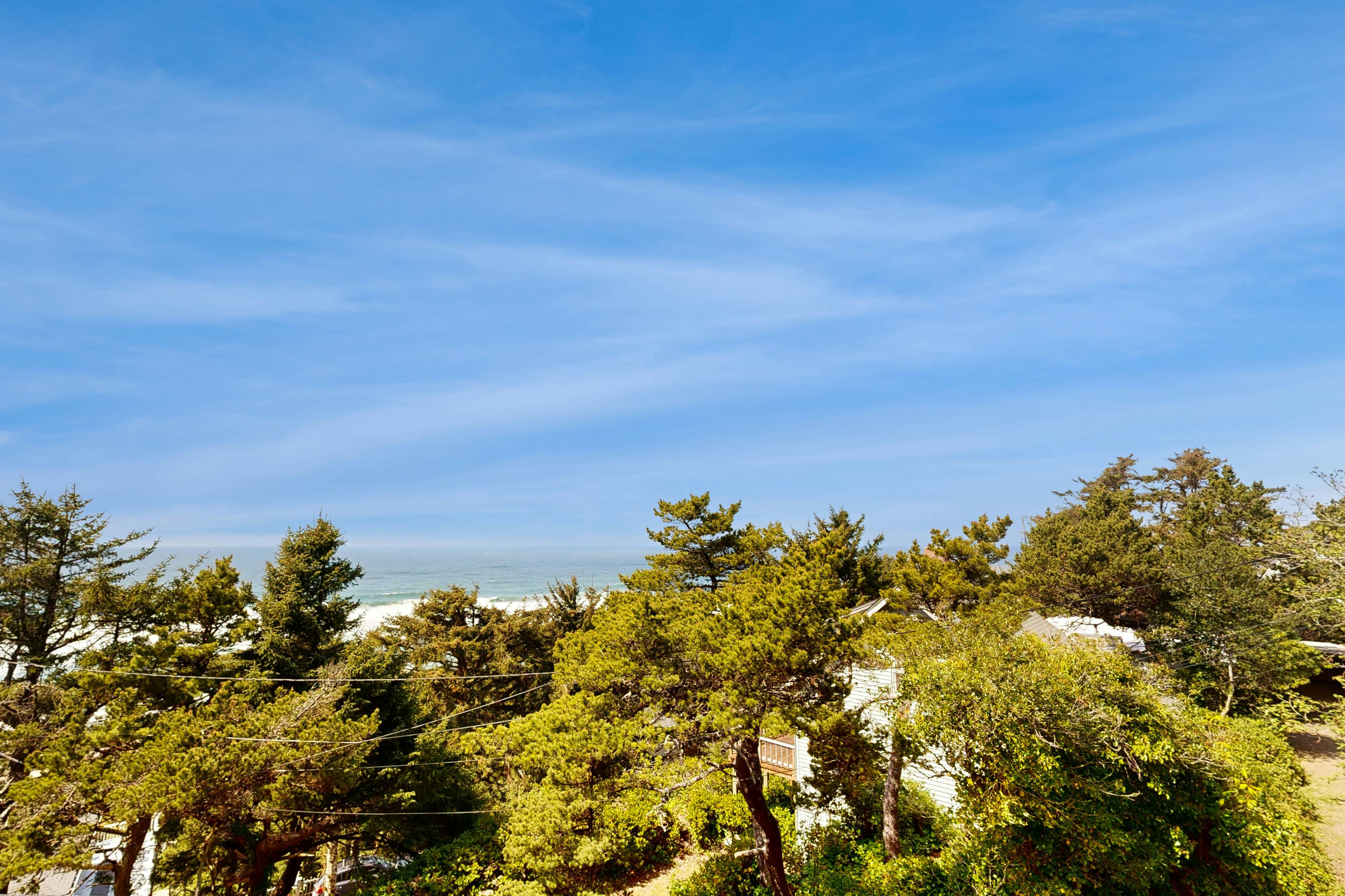 Dog-Friendly Studio with Free WiFi, Ocean Views & Easy Beach Access