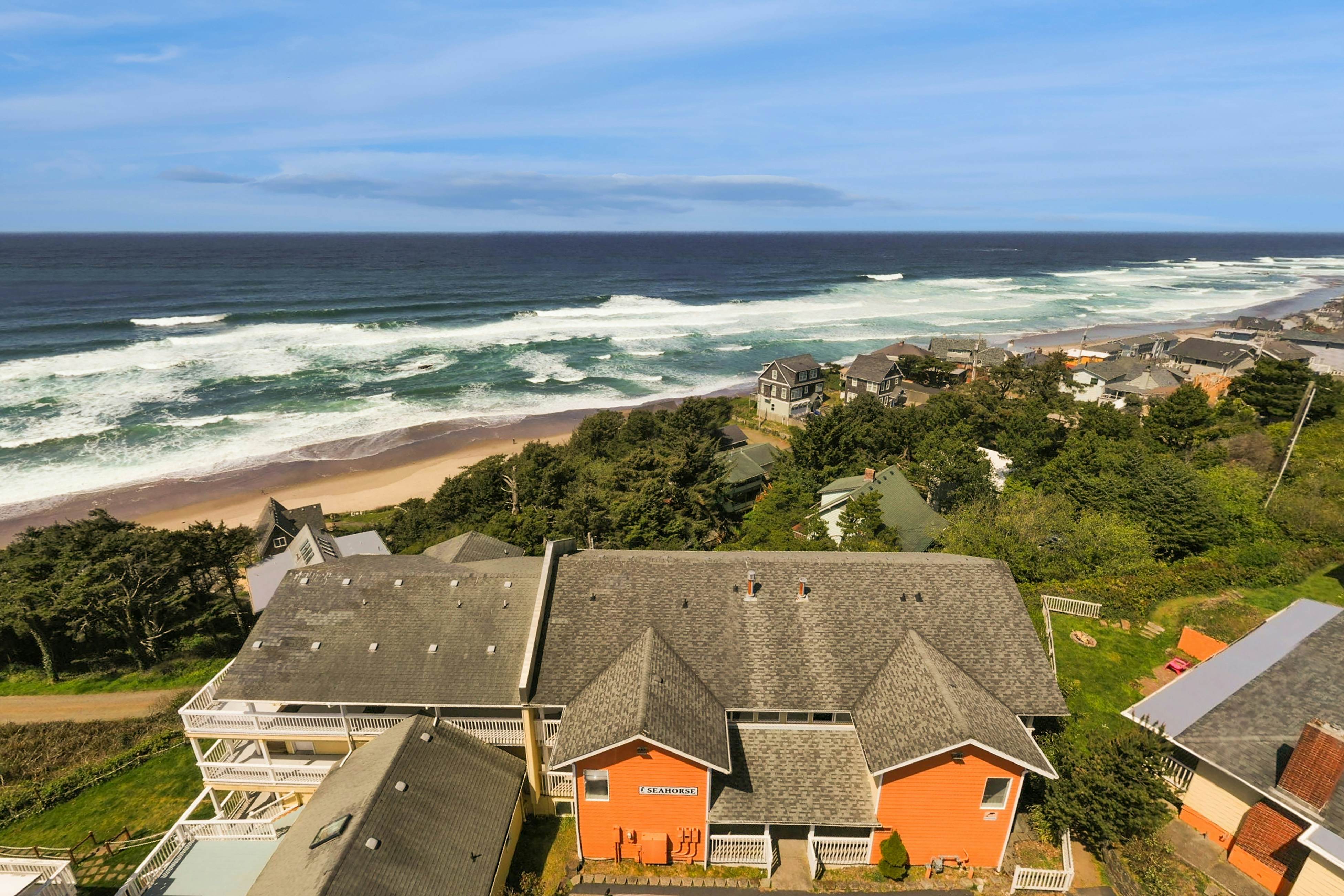 Dog-Friendly Studio with Free WiFi, Ocean Views & Easy Beach Access