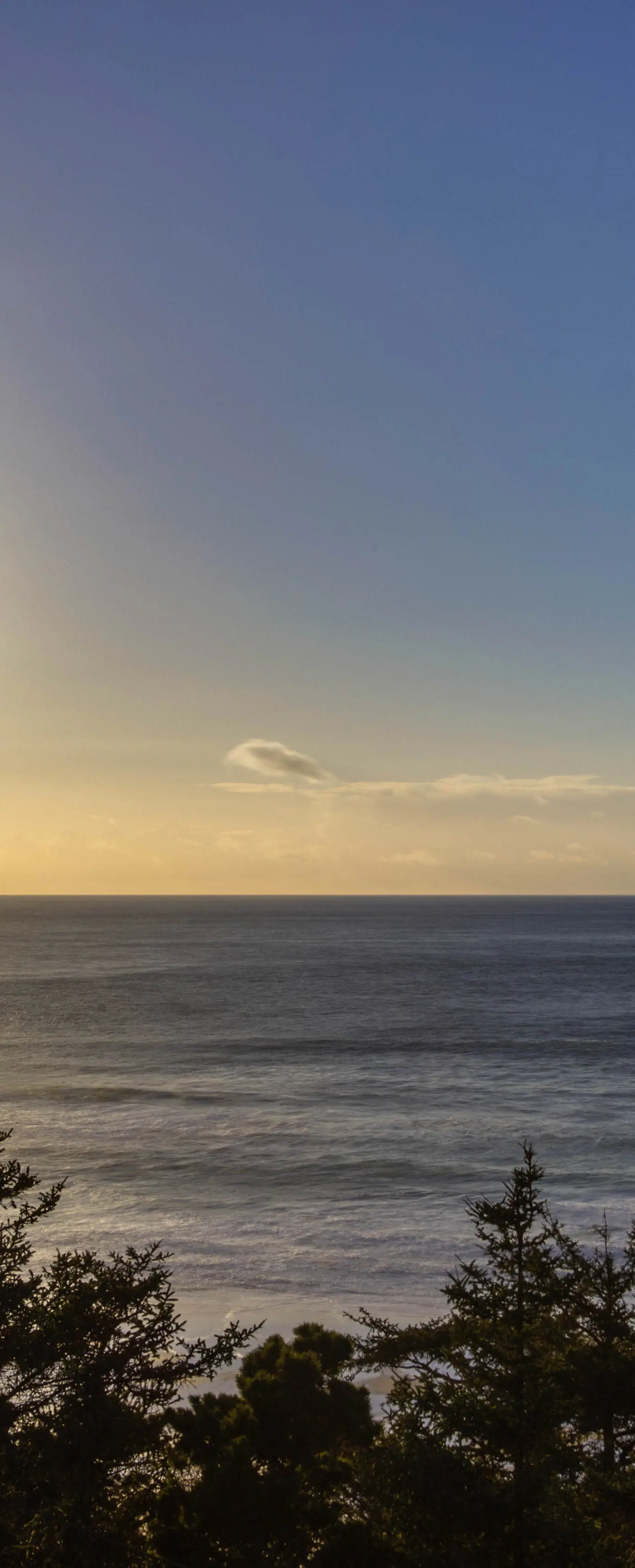 Upper Level Studio with Balcony Dog Friendly and Great Ocean Views
