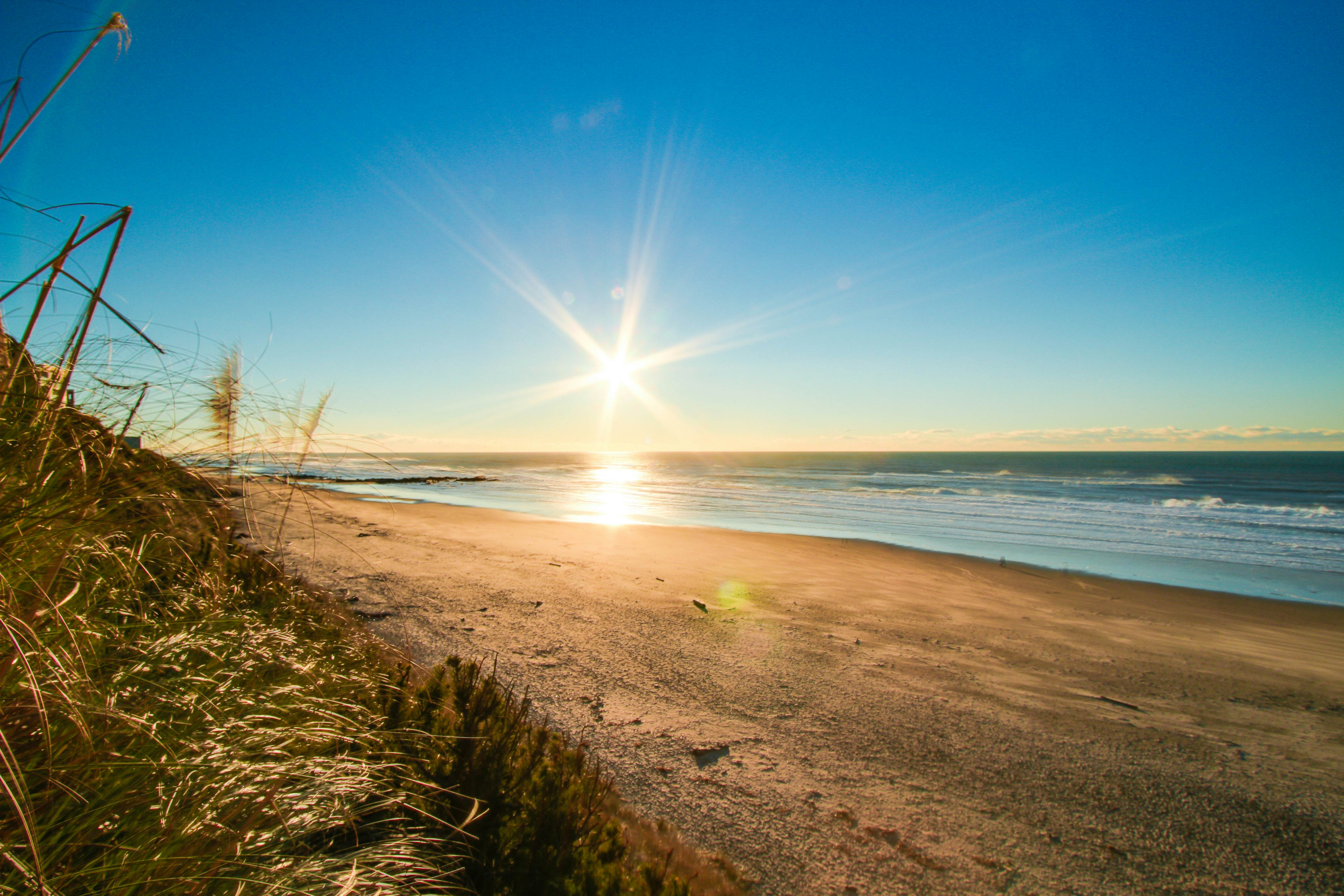 Affordable Dog-Friendly Studio, Ocean Views & Nearby Beach Access