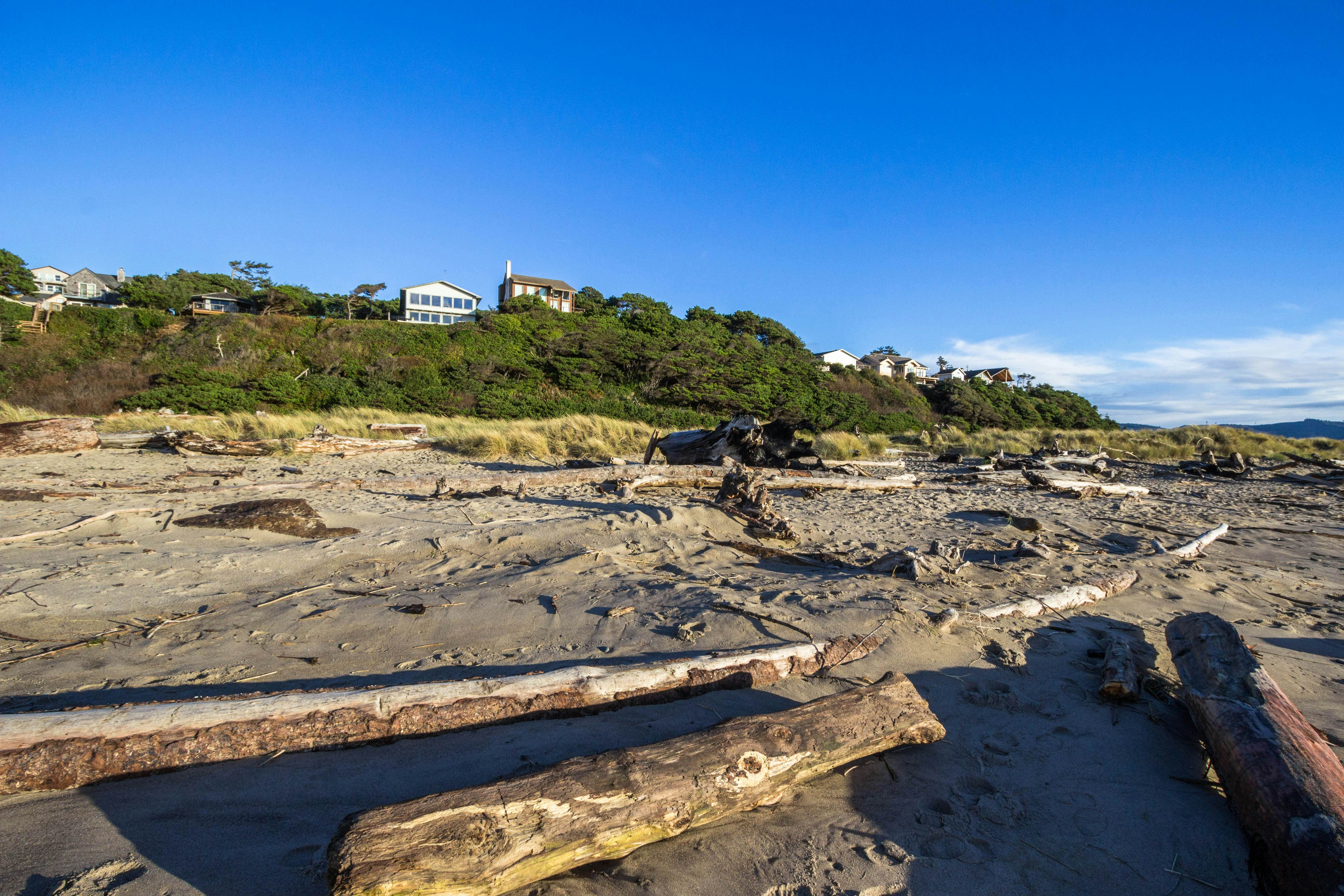 Affordable Dog-Friendly Studio, Ocean Views & Nearby Beach Access