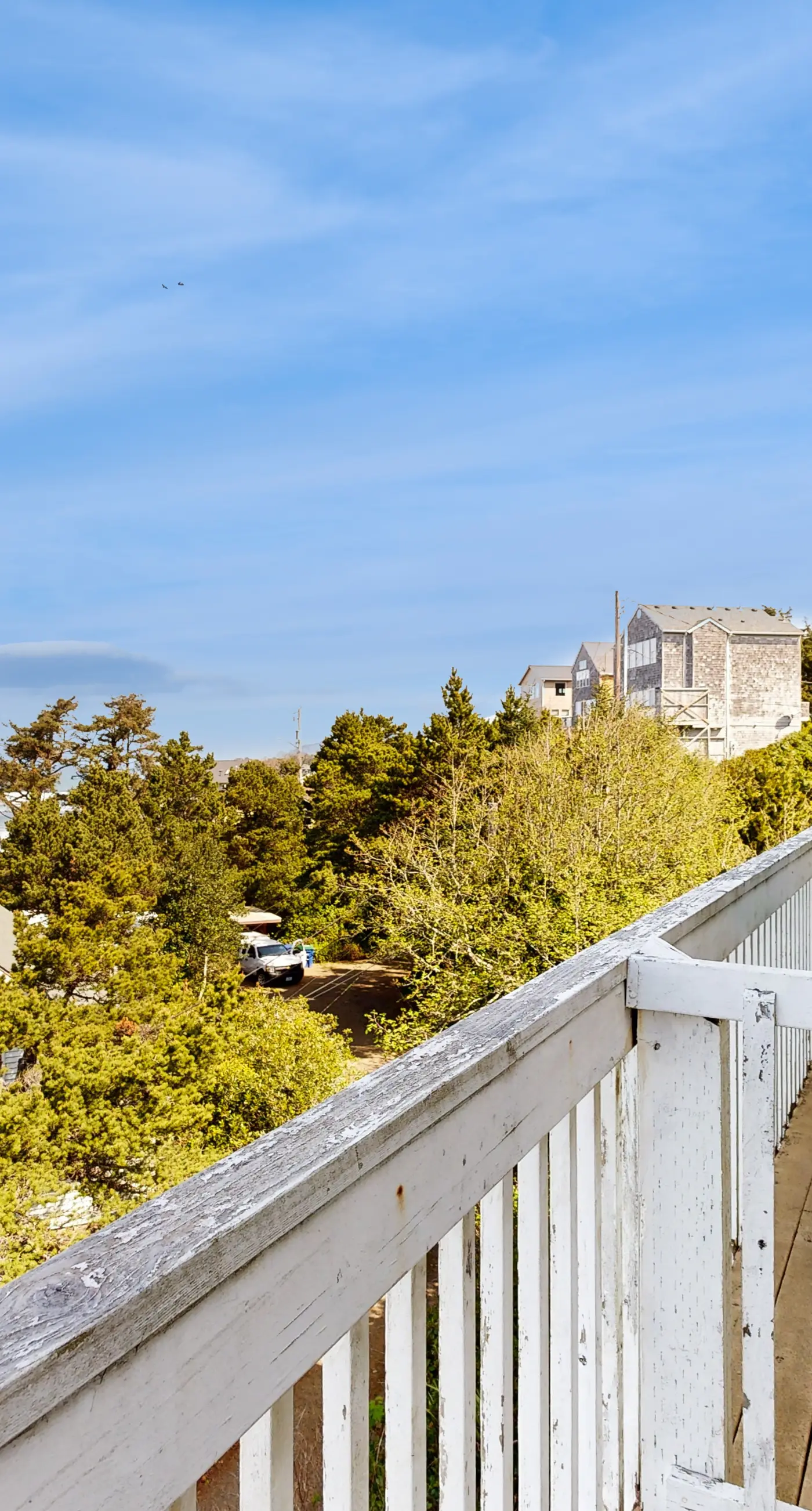 Dog Friendly Studio with Ocean Views WiFi Short Walk to the Beach