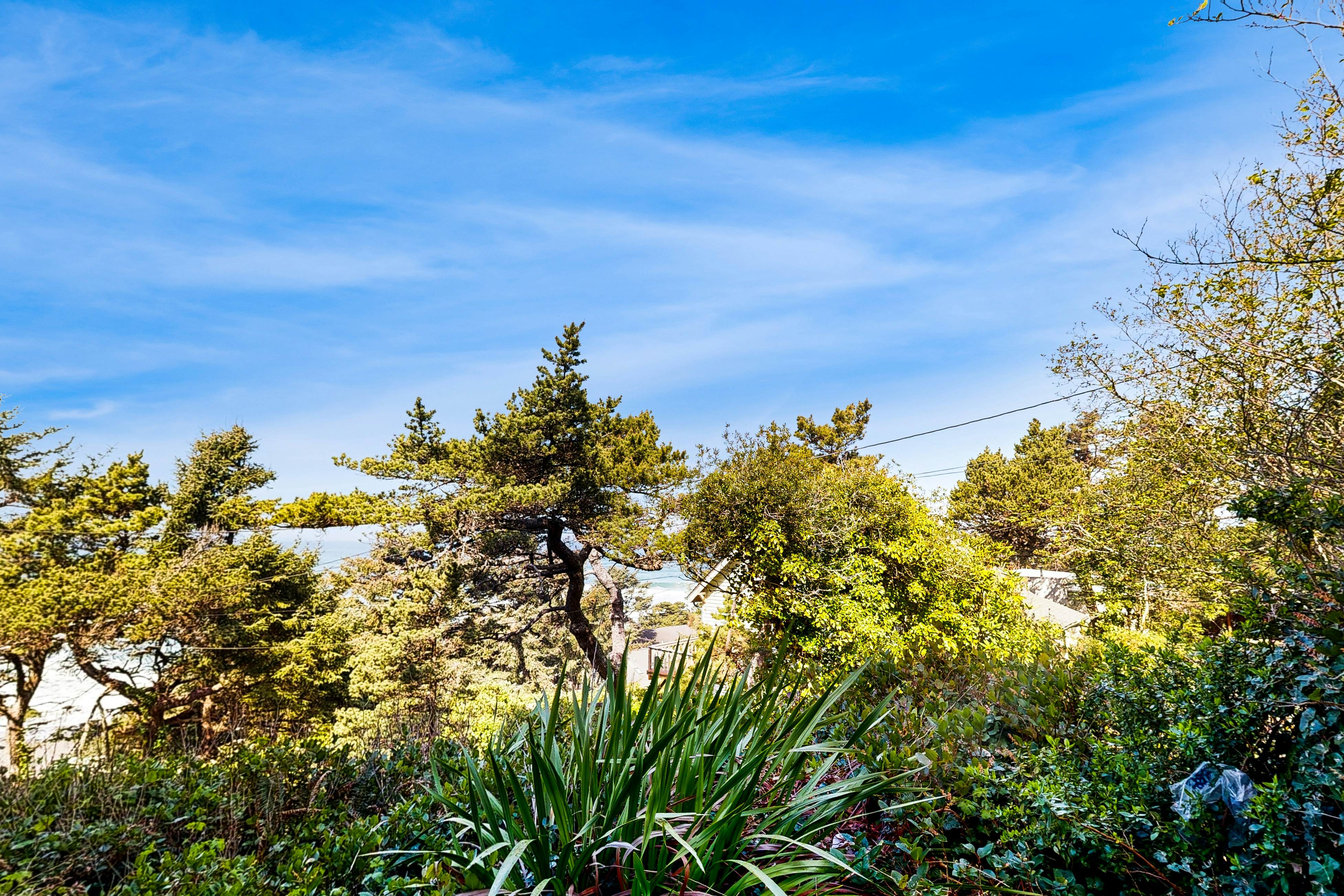 Lower Level Studio with Ocean Views and Easy Beach Access Dog Friendly