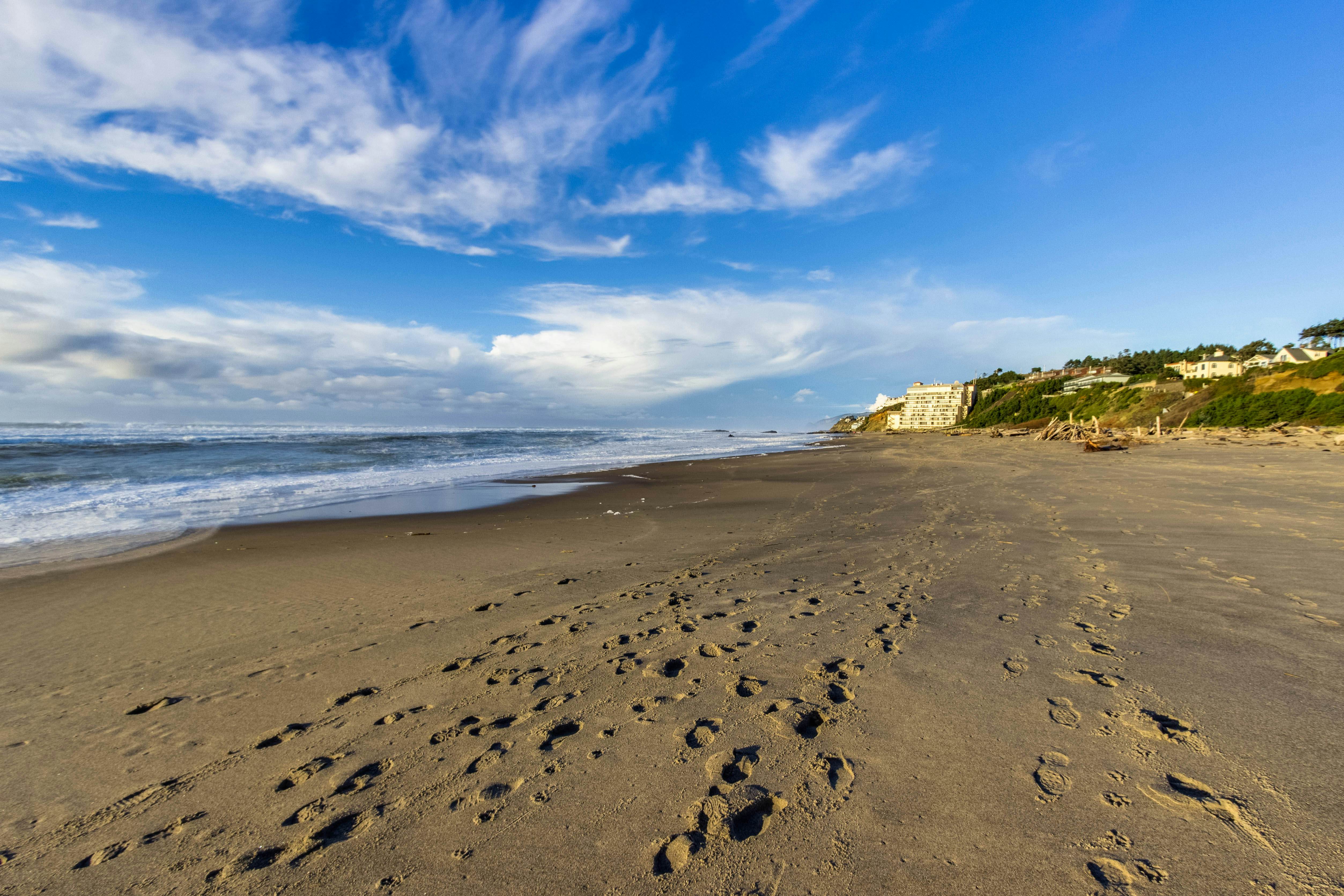 Lower Level Studio with Ocean Views and Easy Beach Access Dog Friendly