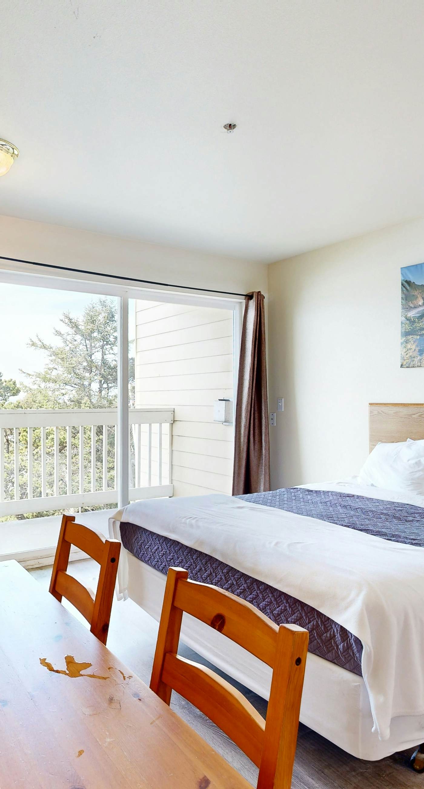 Romance awaits with ocean views and sandy shores at this dog friendly studio