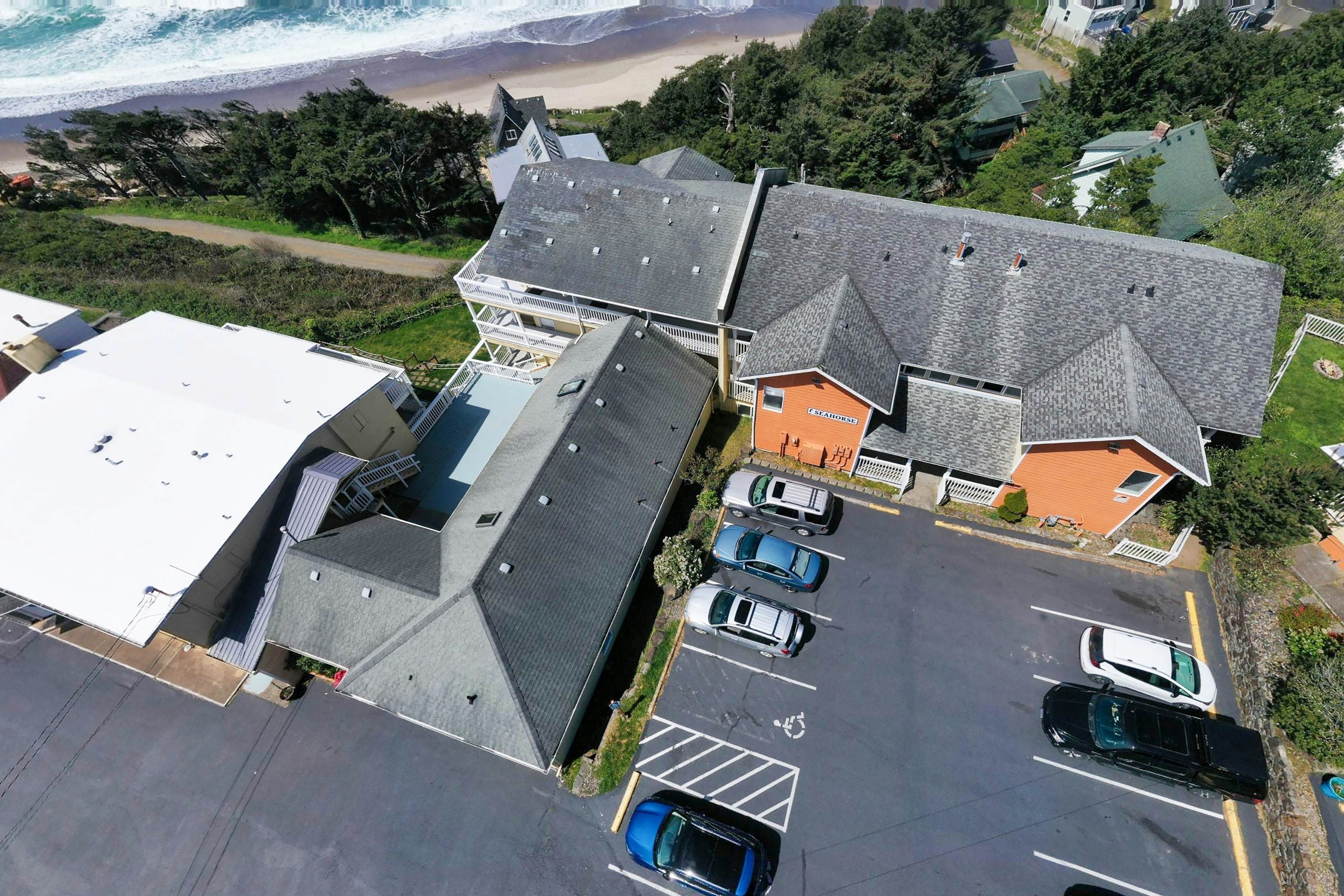 Dog-Friendly Condo with Stunning Ocean Views & Easy Beach Access