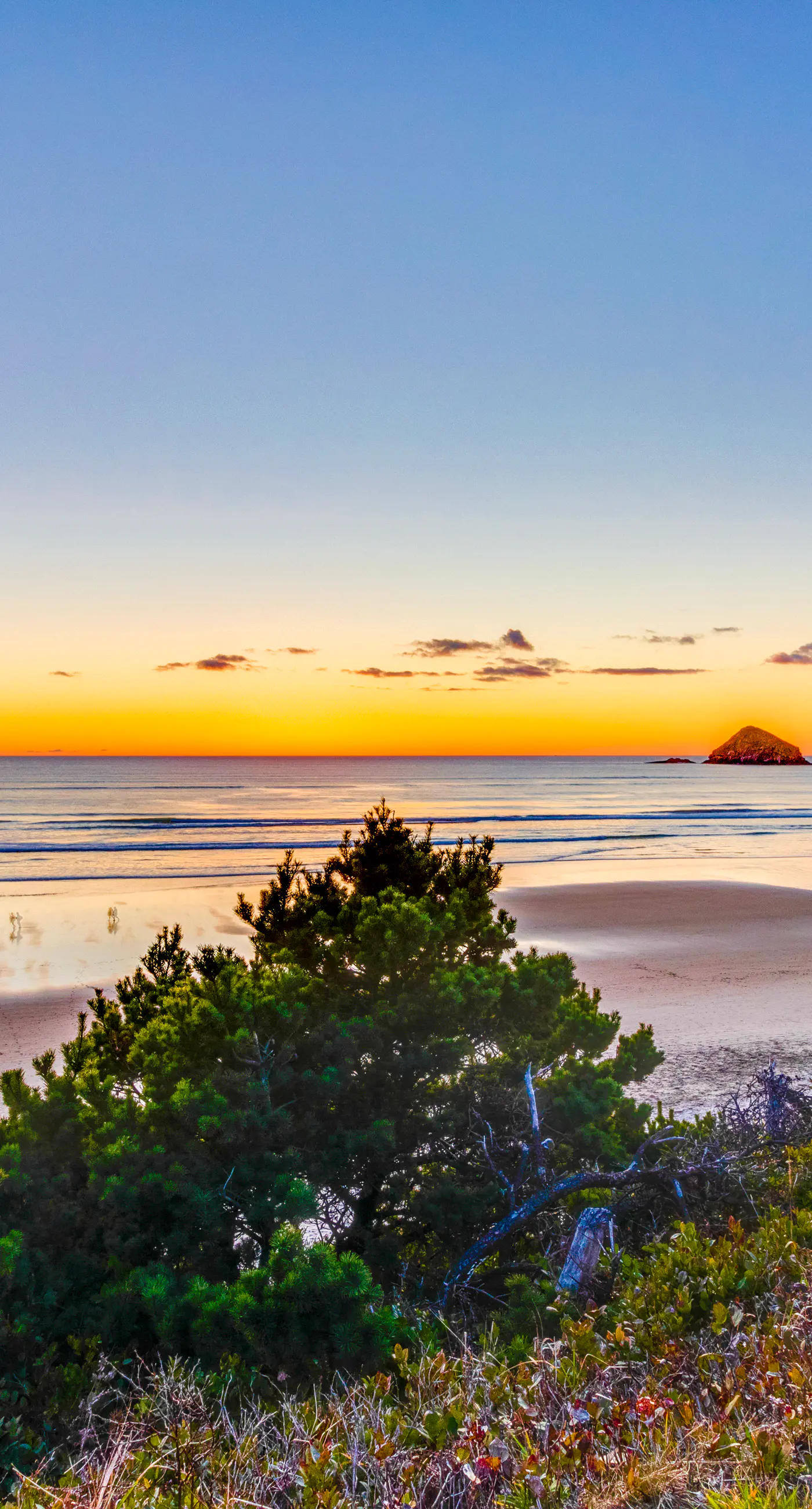 Hillside home with exceptional ocean view near the beach dog friendly