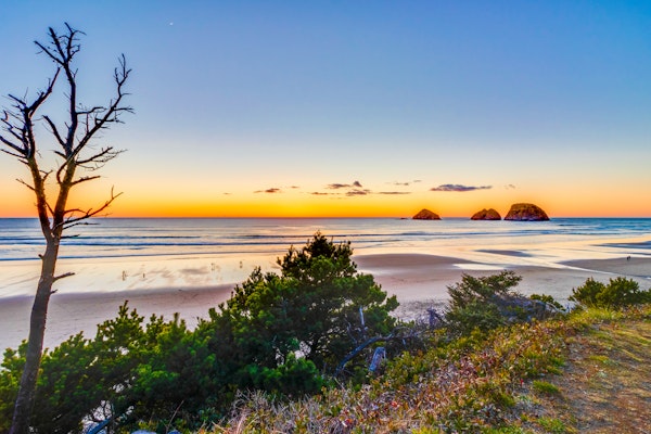 Hillside home with exceptional ocean view near the beach dog friendly