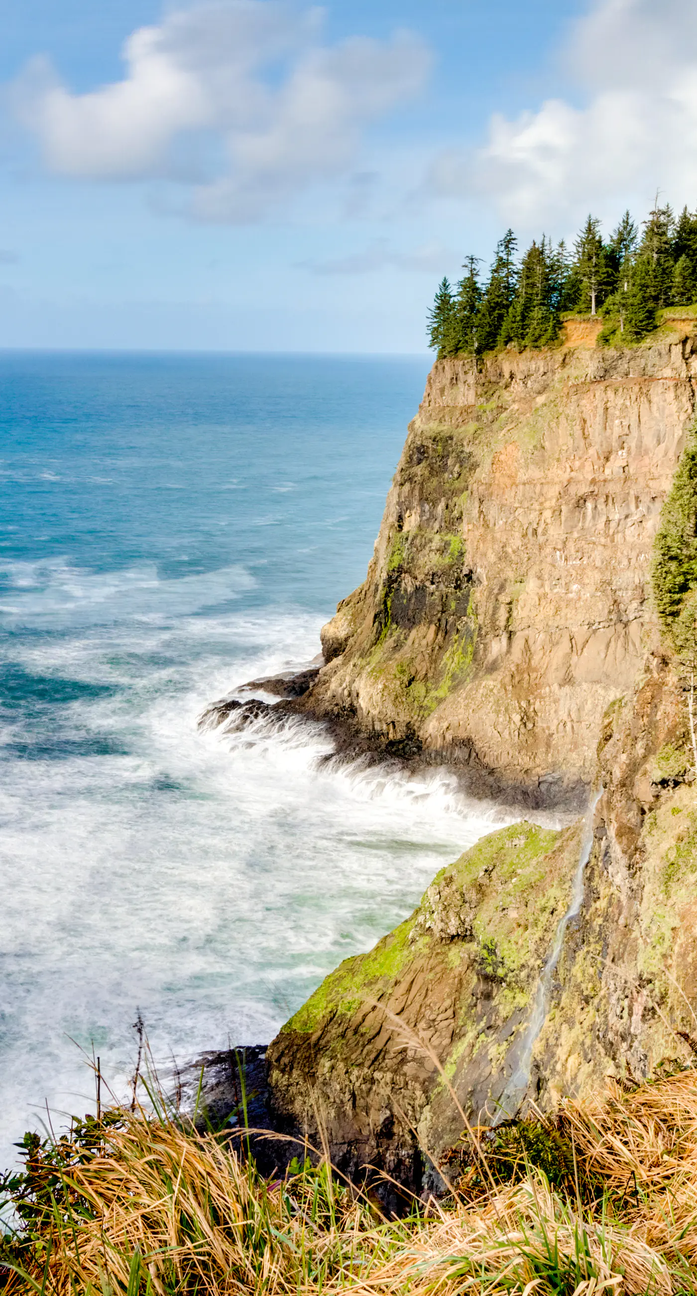 Hillside home with exceptional ocean view near the beach dog friendly