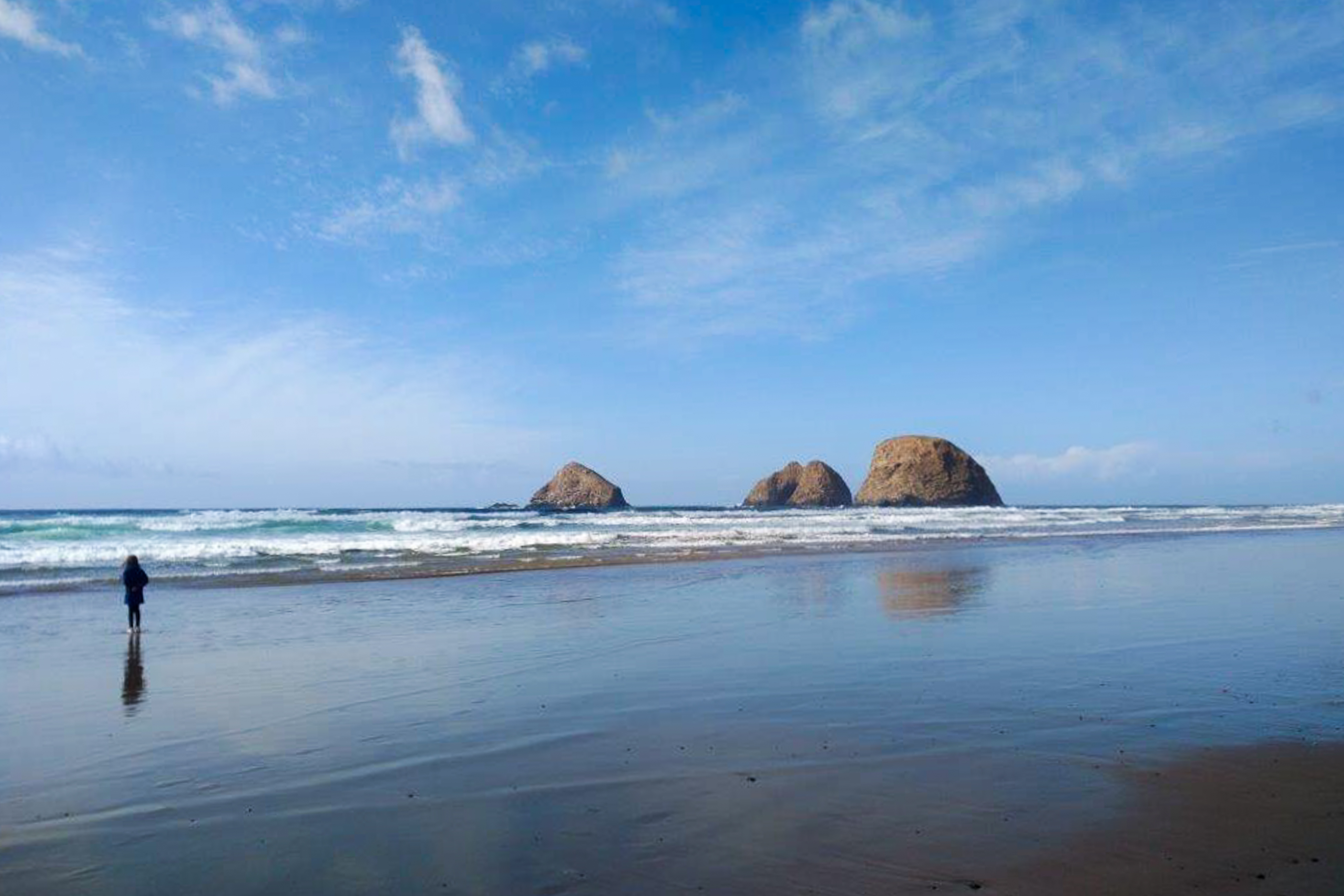 Dog friendly beach home ideal for entertaining with 2 fireplaces and great kitchen