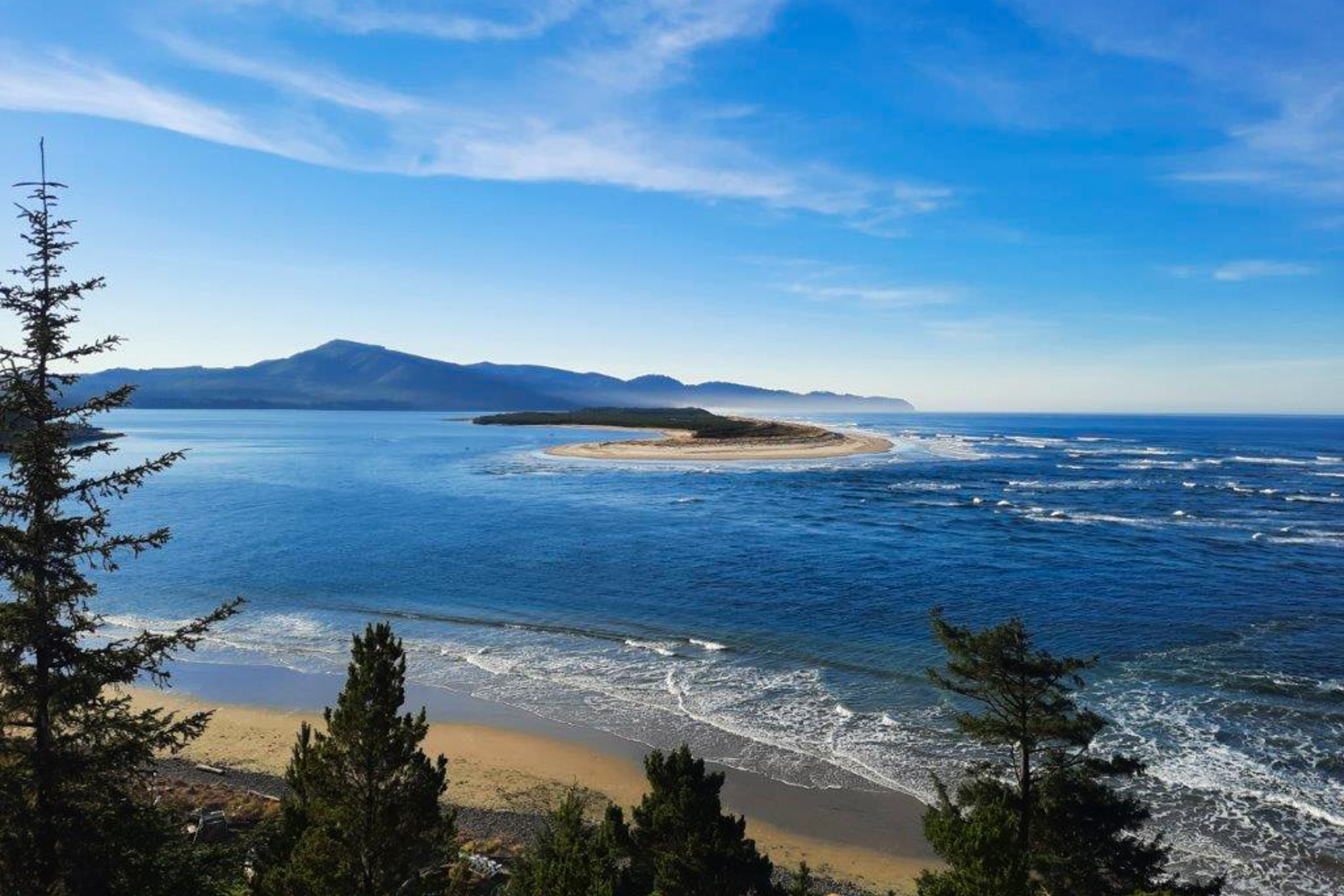 Dog friendly beach home ideal for entertaining with 2 fireplaces and great kitchen