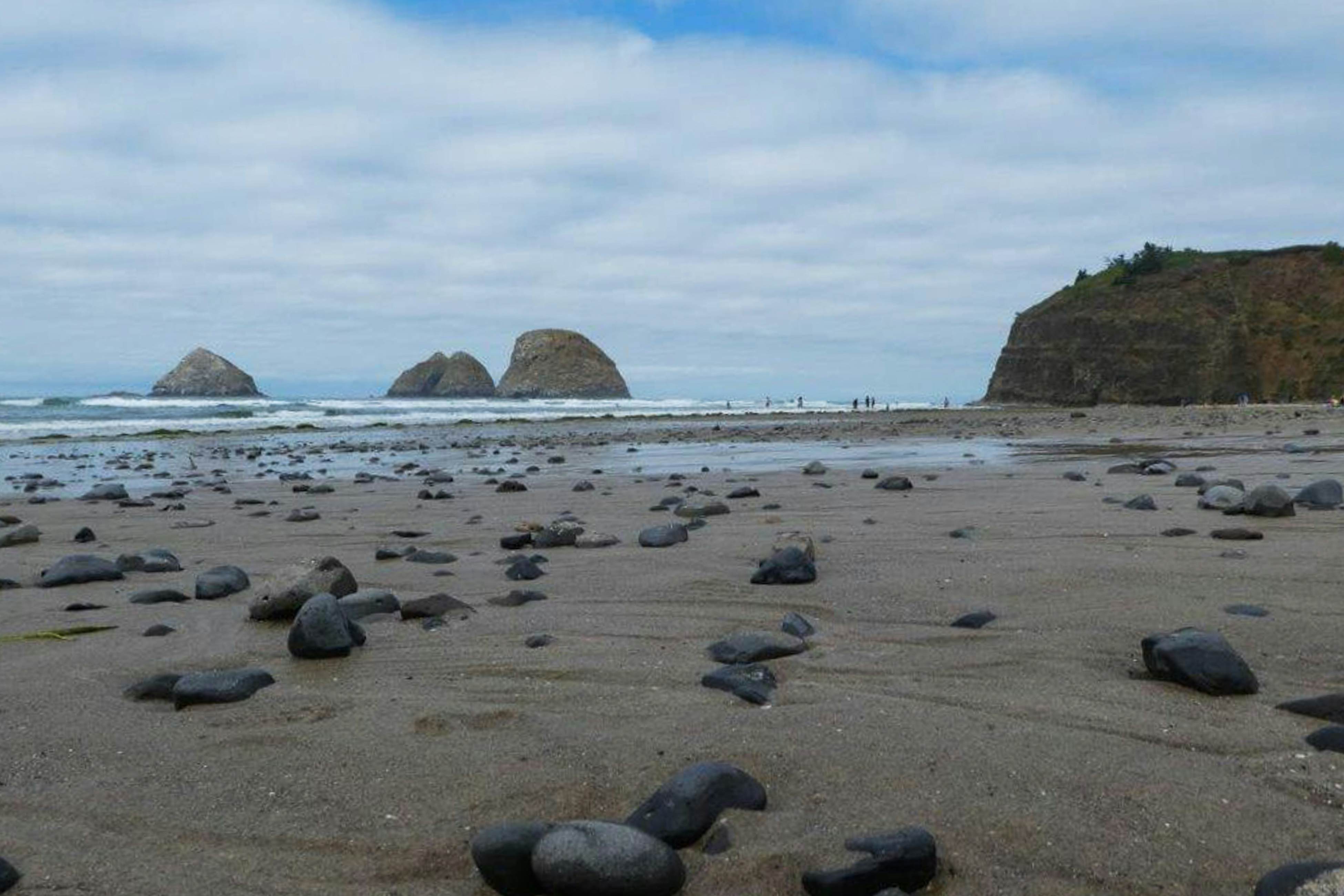 Dog-friendly beach home ideal for entertaining with 2 fireplaces & great kitchen