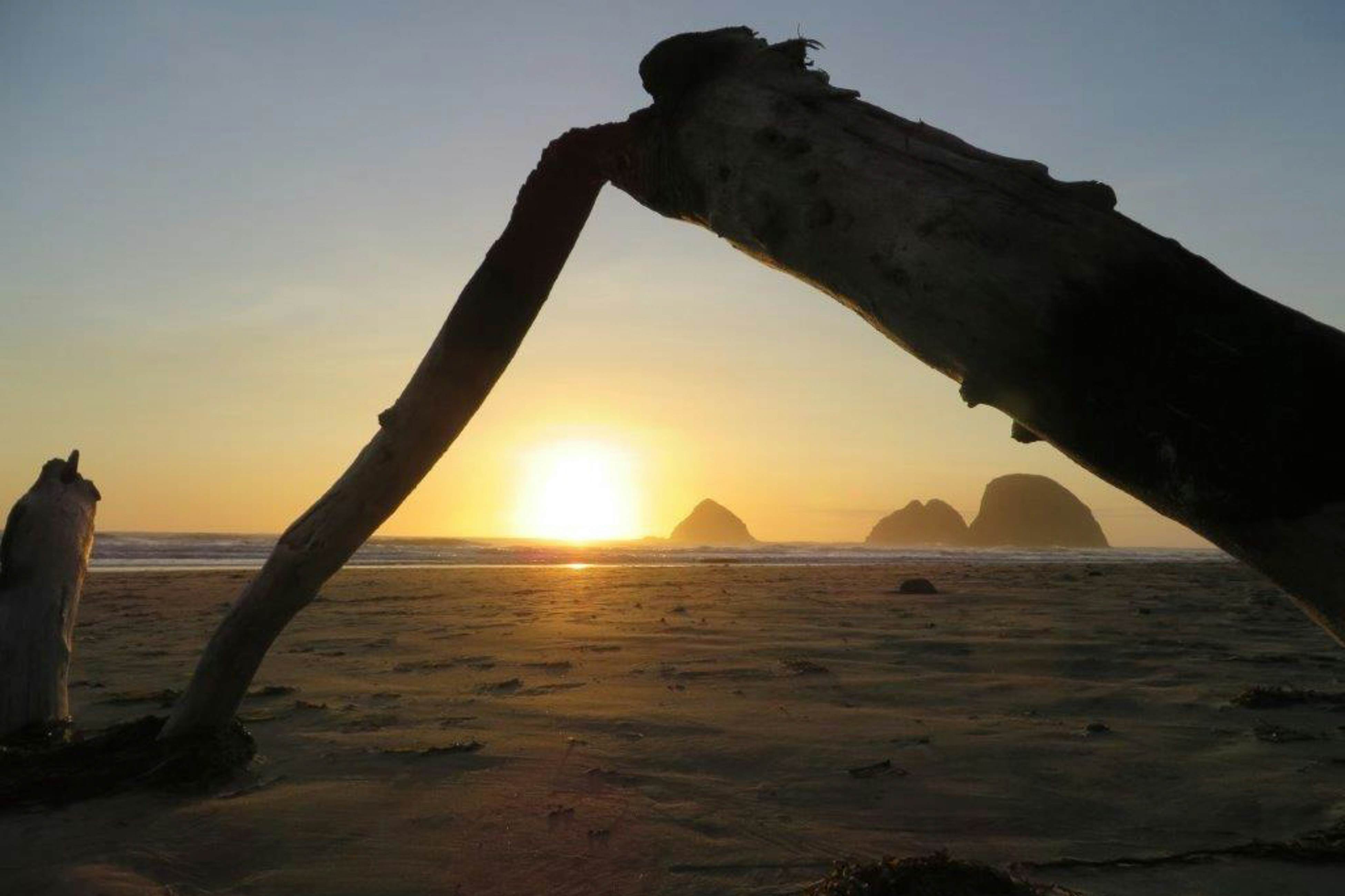 Dog-friendly beach home ideal for entertaining with 2 fireplaces & great kitchen