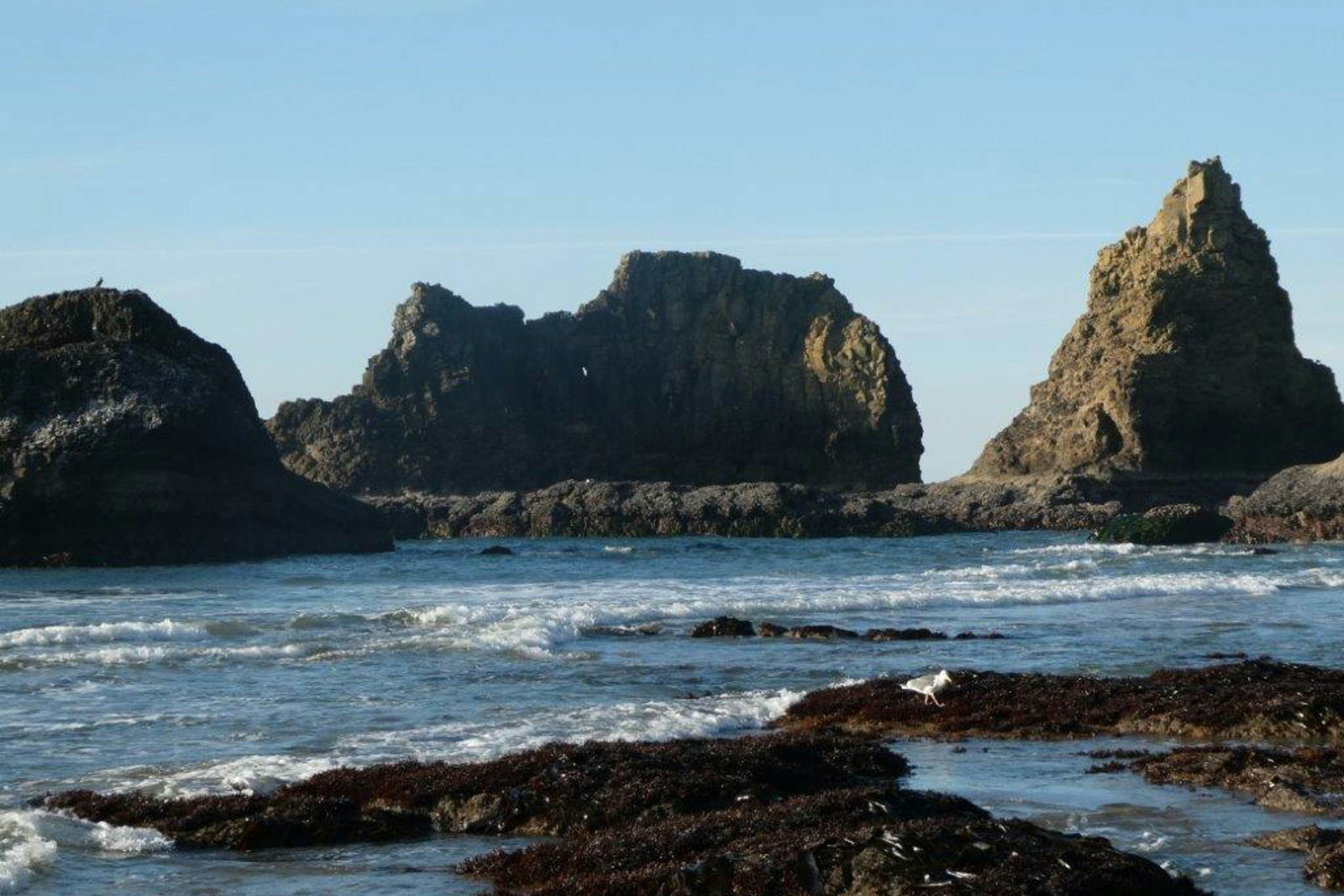 Dog-friendly beach home ideal for entertaining with 2 fireplaces & great kitchen