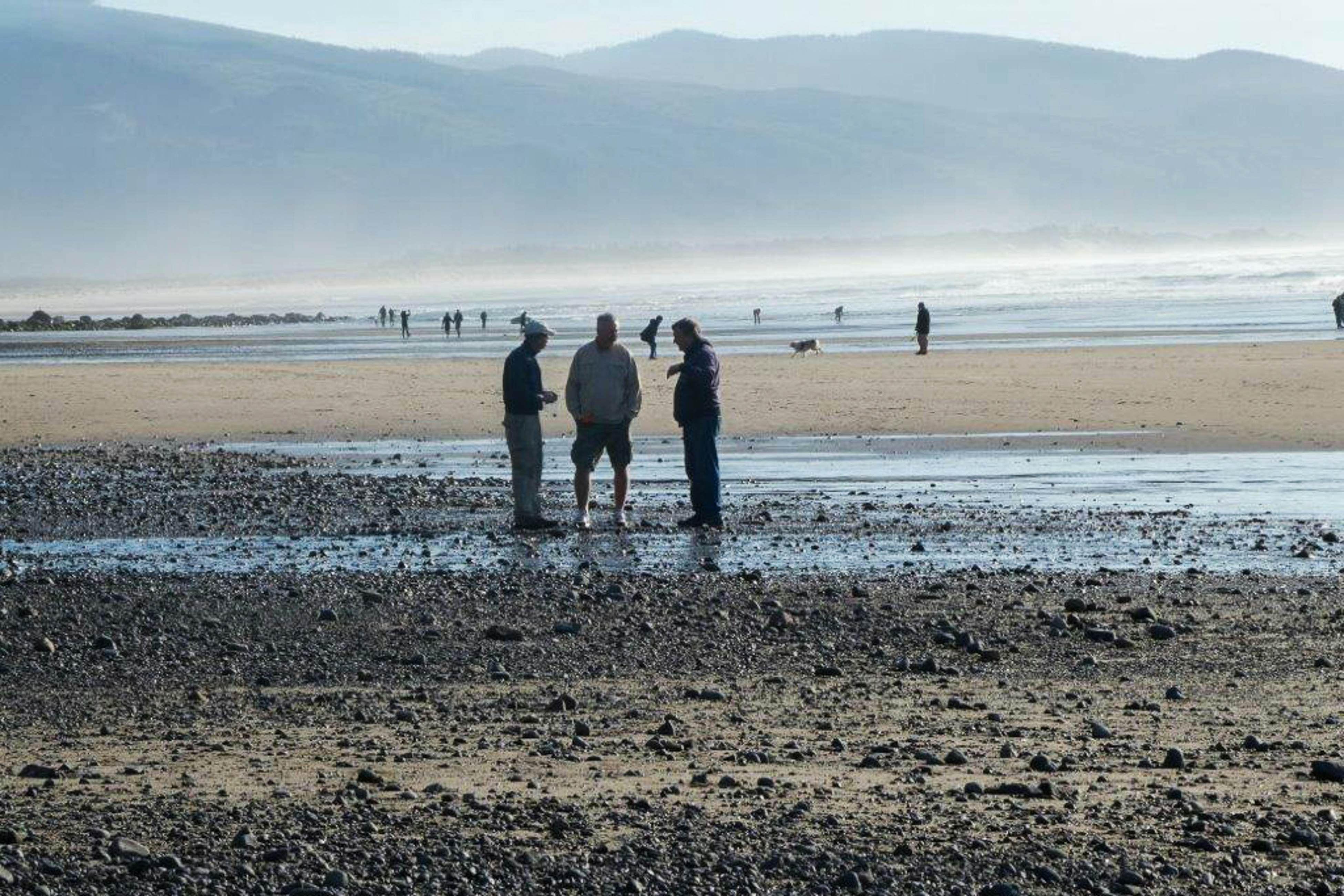 Dog-friendly beach home ideal for entertaining with 2 fireplaces & great kitchen