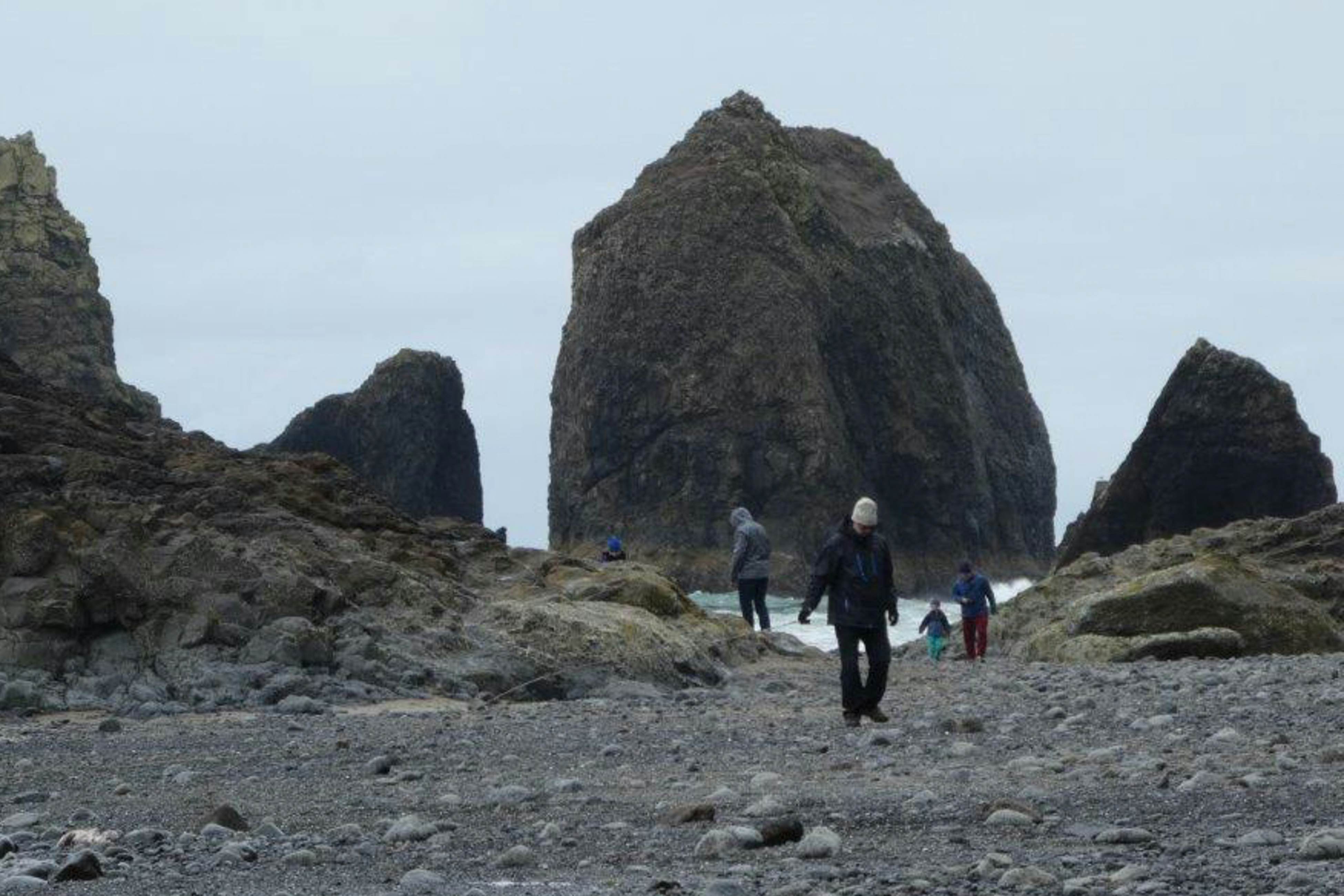 Dog-friendly beach home ideal for entertaining with 2 fireplaces & great kitchen