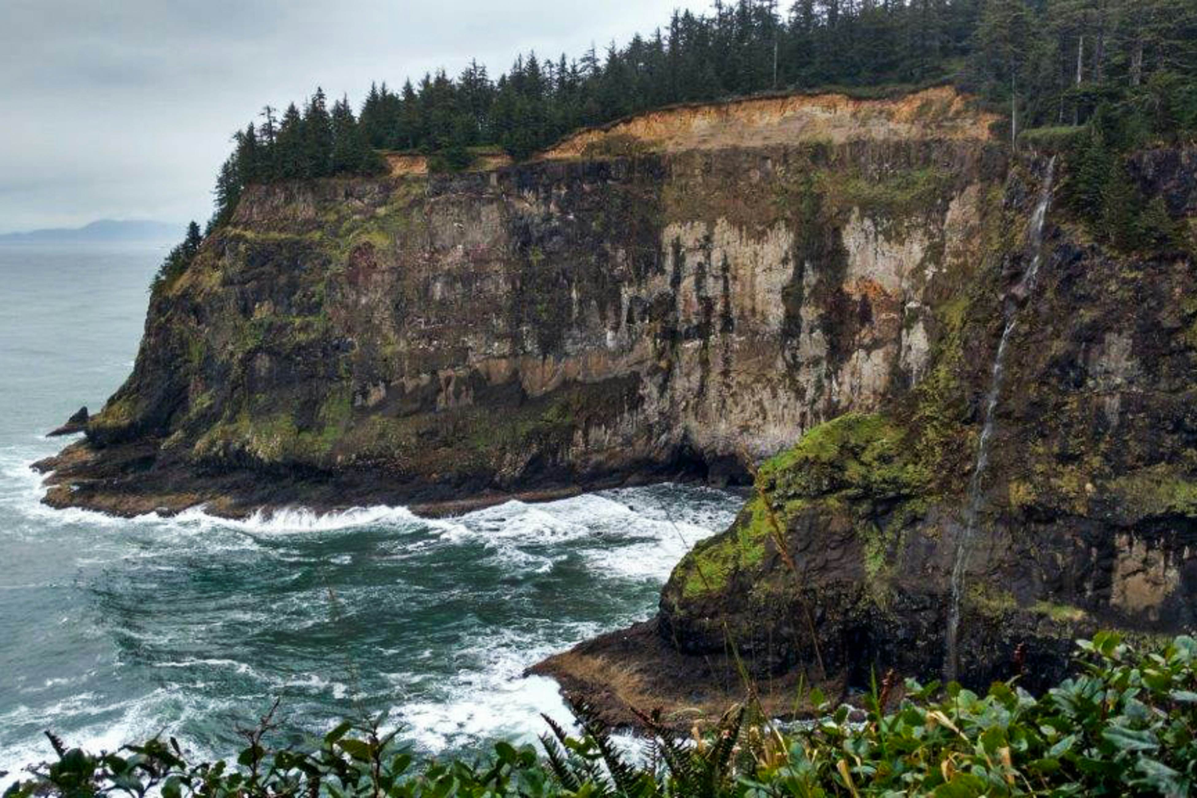 Dog-friendly beach home ideal for entertaining with 2 fireplaces & great kitchen