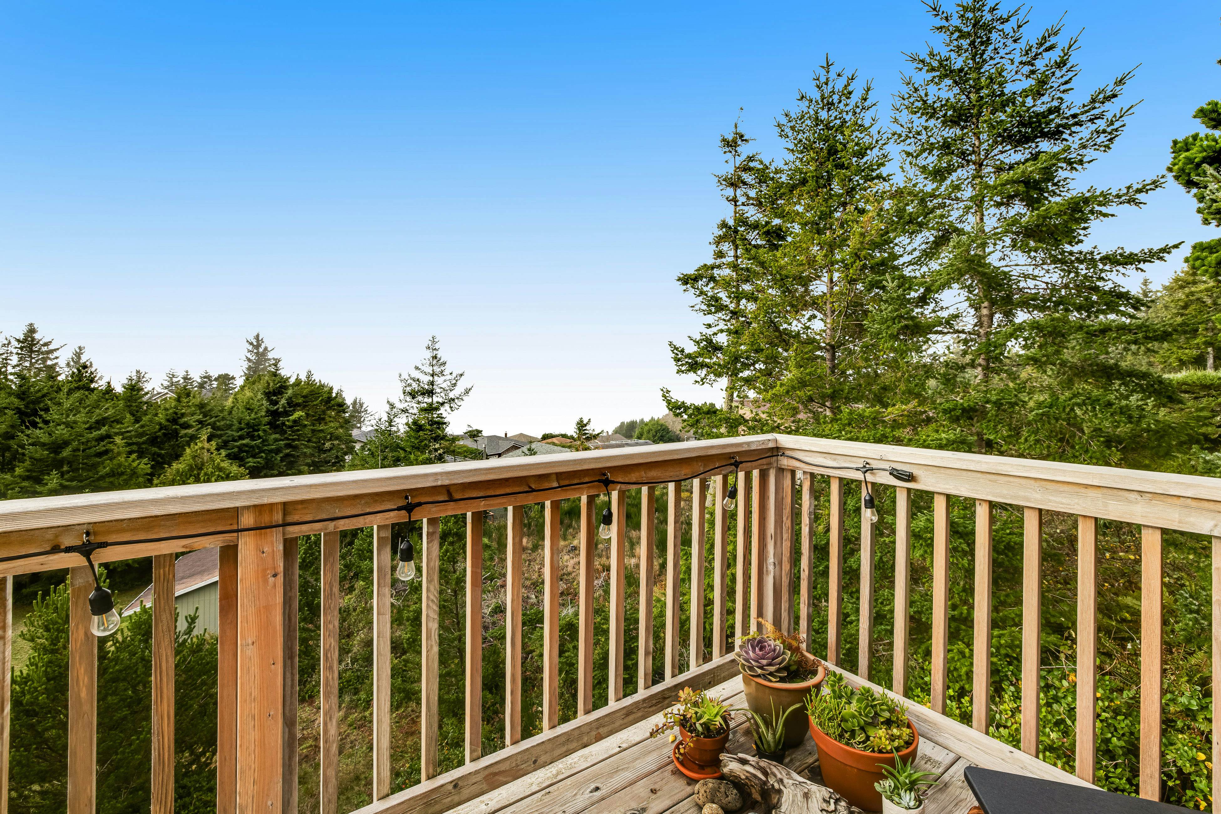 Dog-friendly home with ocean views, deck, washer/dryer, grill, & fireplace