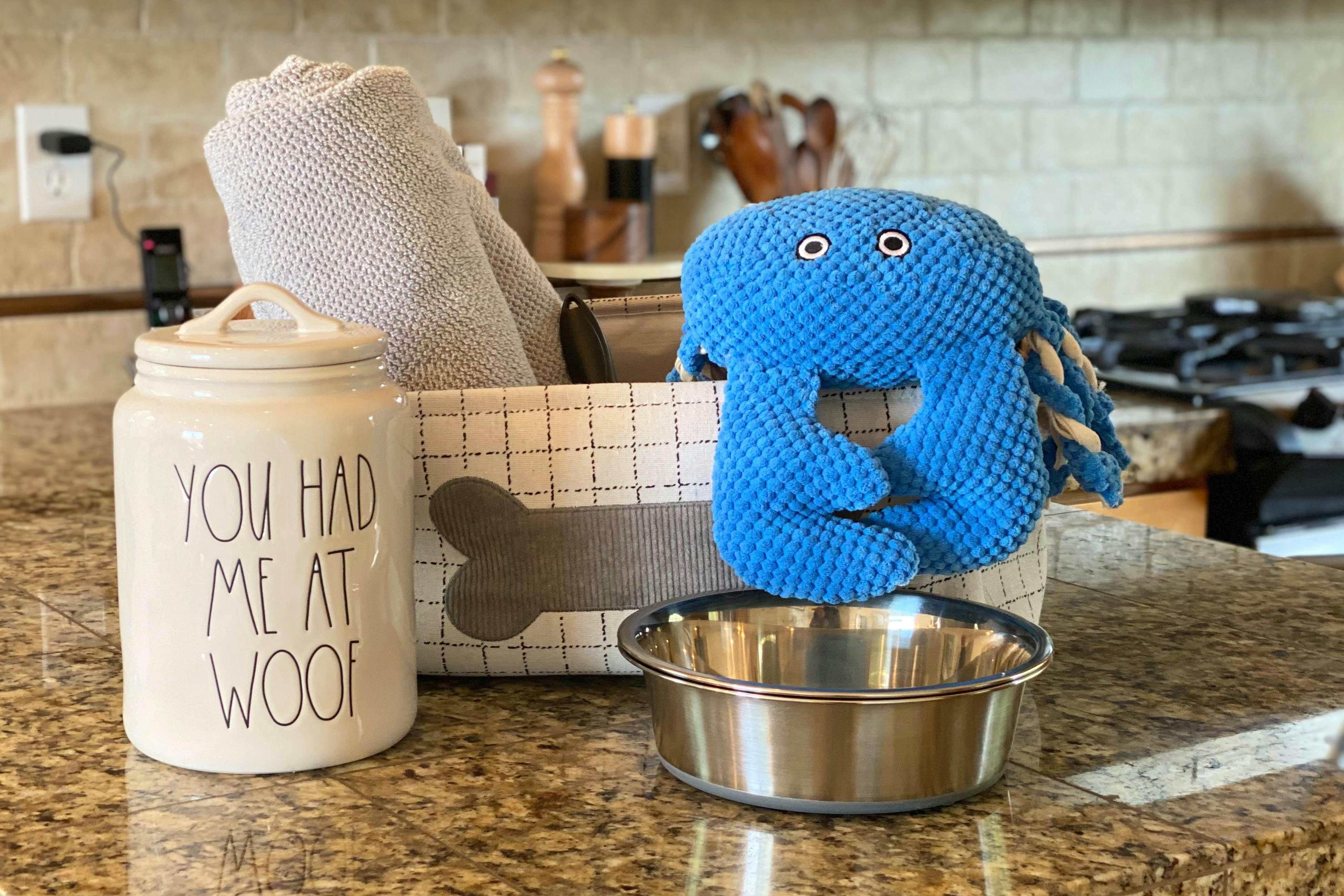 Dog-friendly home with ocean views, deck, washer/dryer, grill, & fireplace