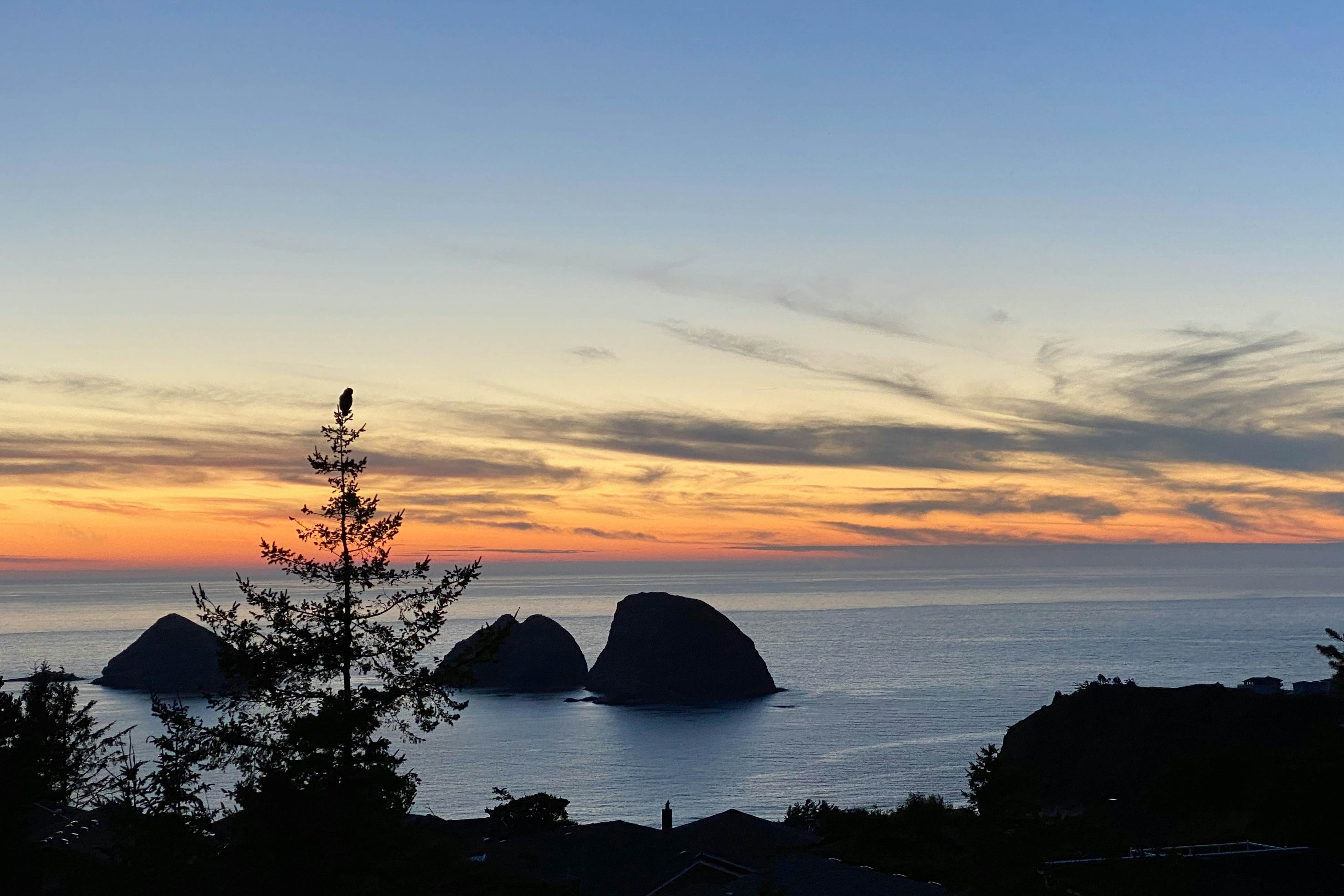 Dog-friendly home with ocean views, deck, washer/dryer, grill, & fireplace