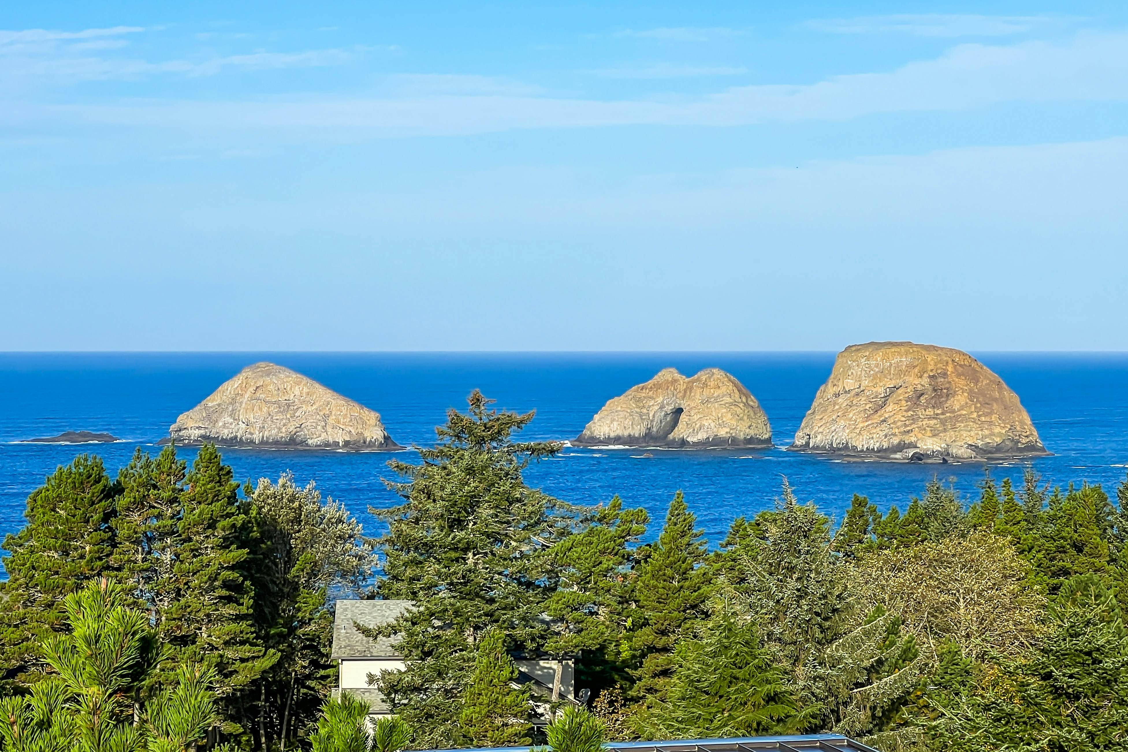 Sweeping ocean-view home with fireplace, grill, & foosball table - dog-friendly