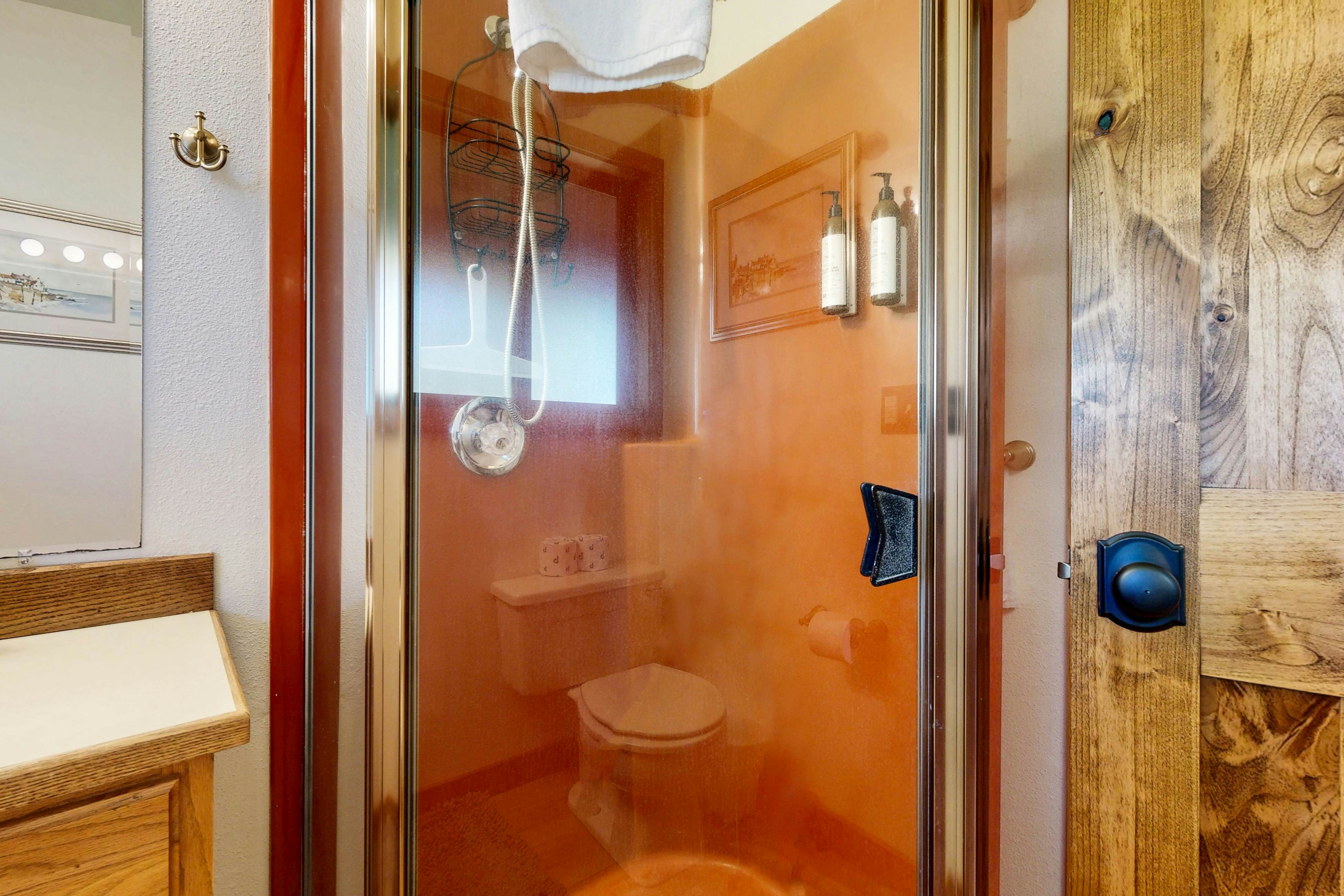 Bay-view, dog-friendly home with a pool table & children's items