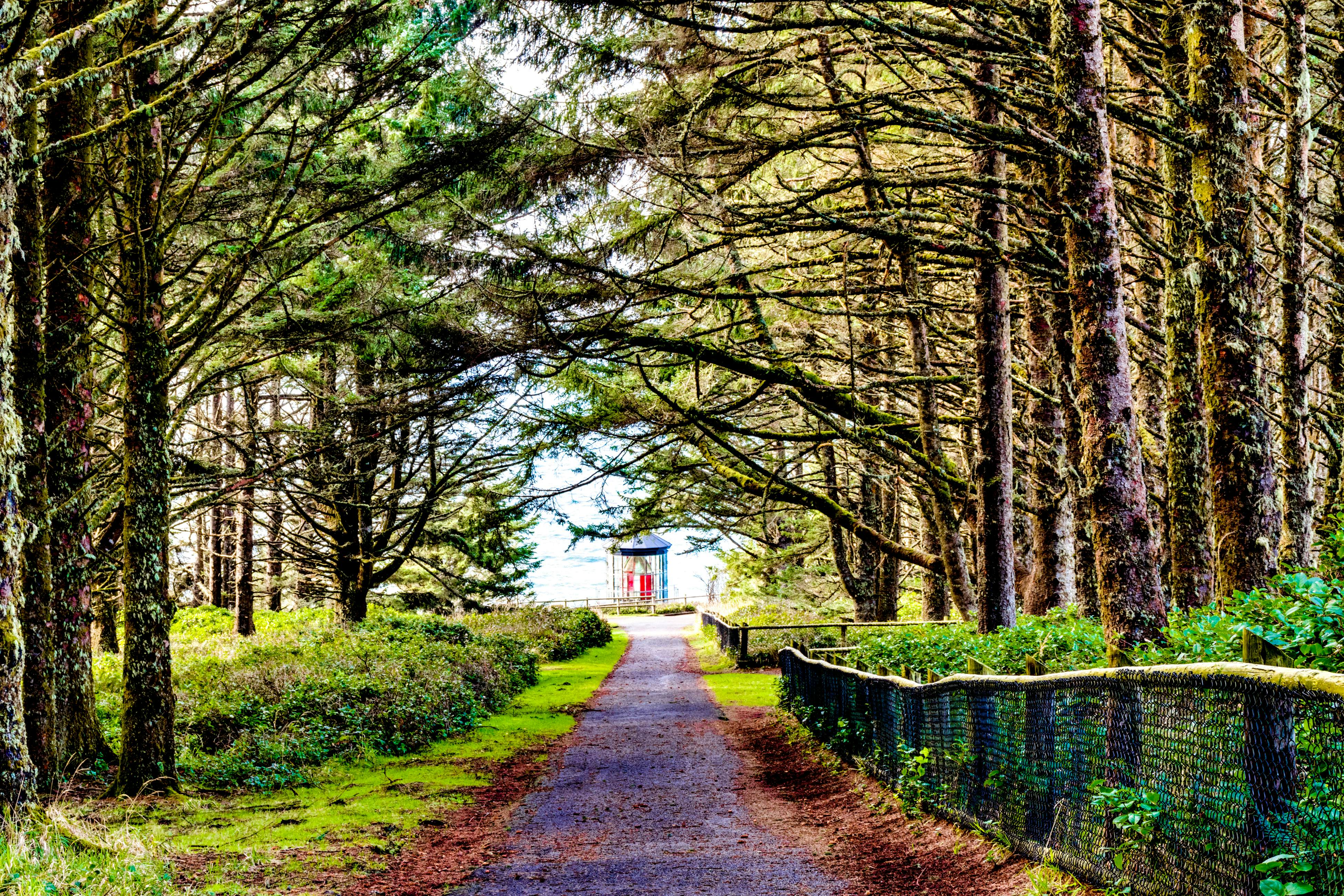 Oceanview Escape with Sweeping Views and Easy Beach Access