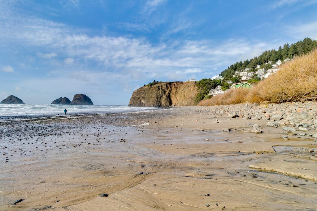 Spacious Oceanside Home with Private Hot Tub and Pacific Views Dog Friendly