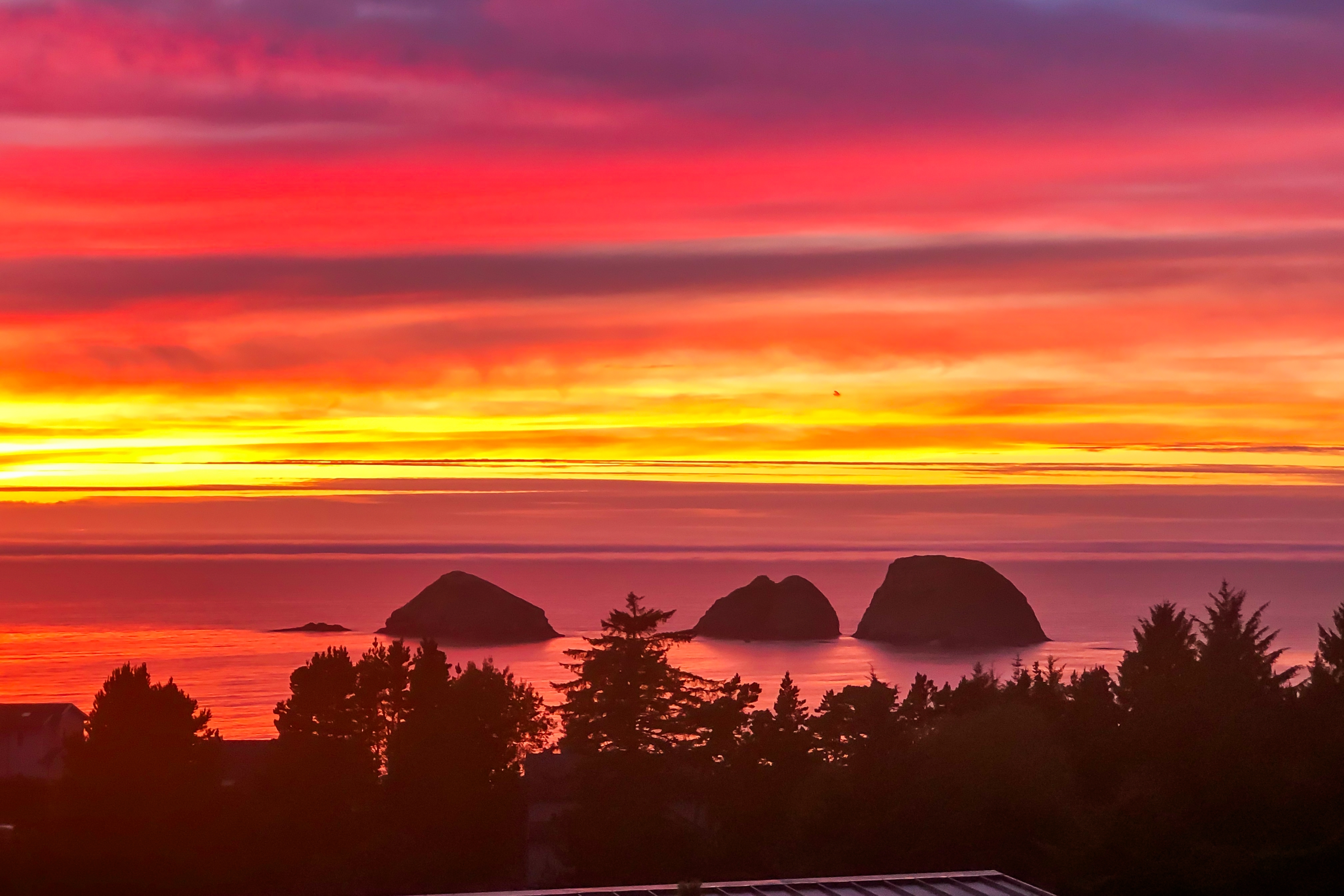 Spectacular ocean view home with fireplace and large decks dog friendly