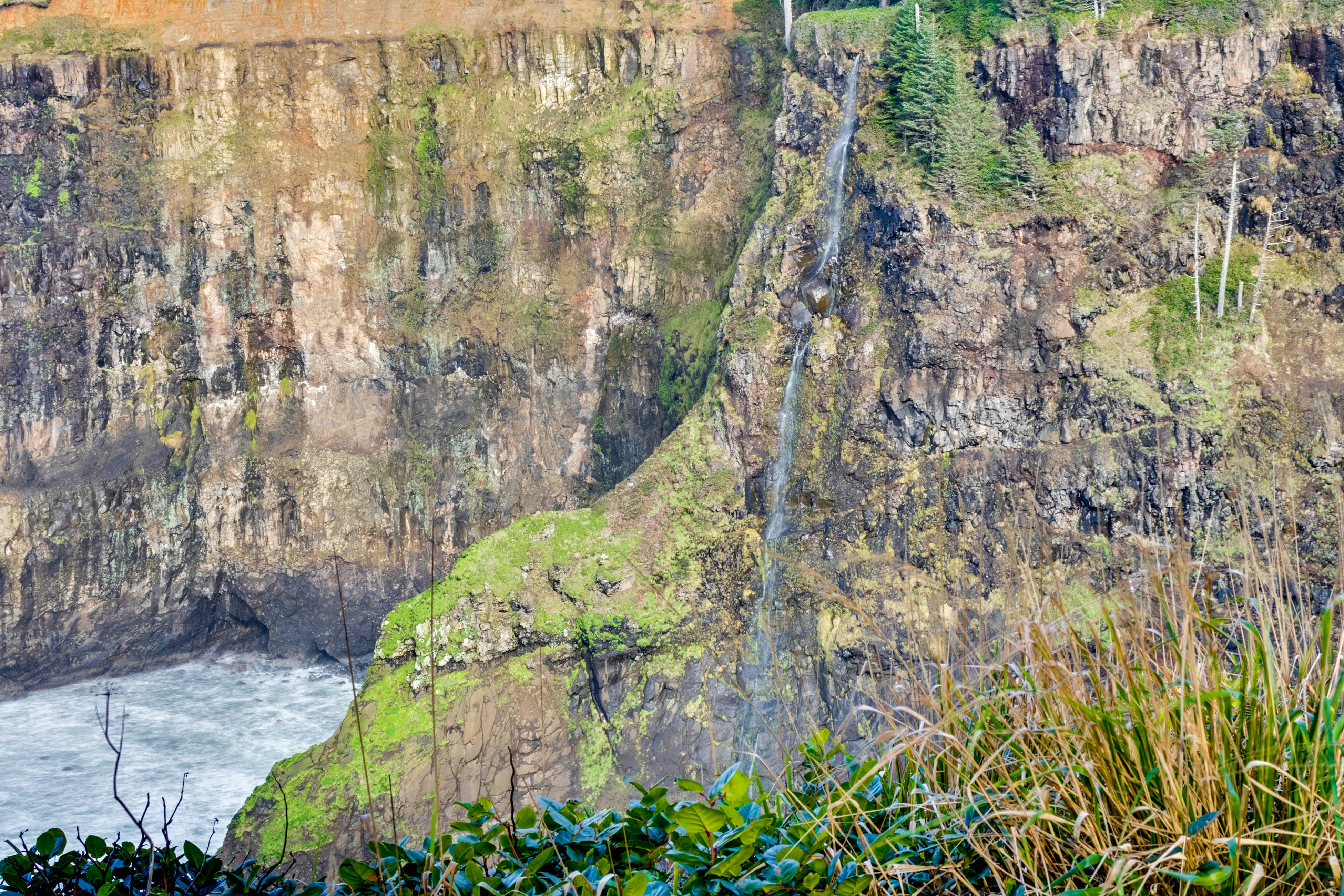 Dog-Friendly house with ocean view, private hot tub, wall-of-windows