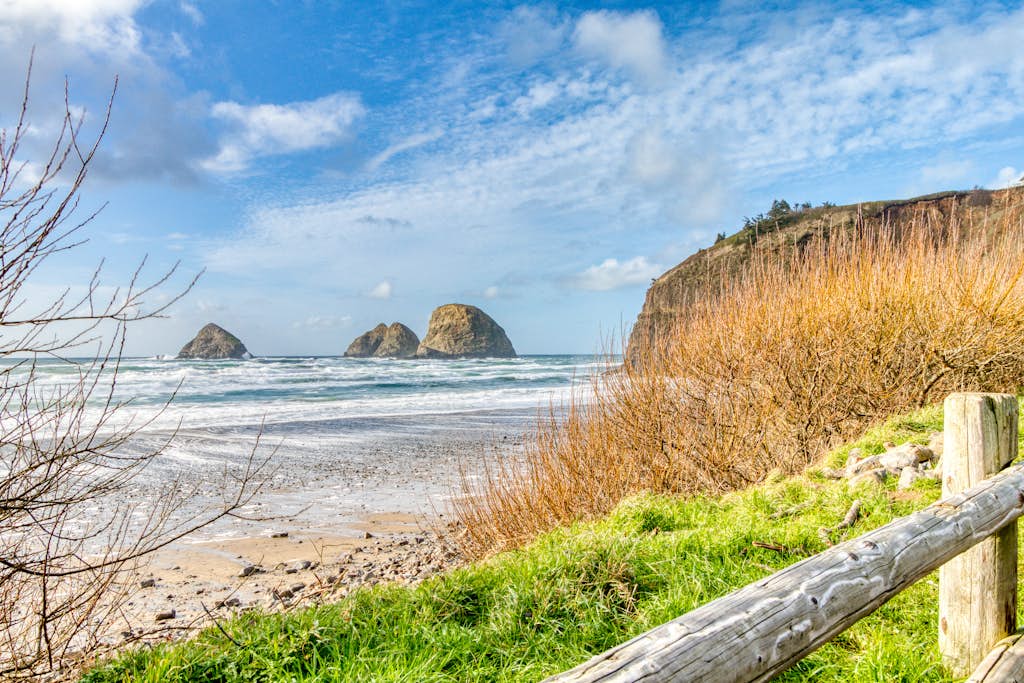 Contemporary built dog friendly house with partial ocean views