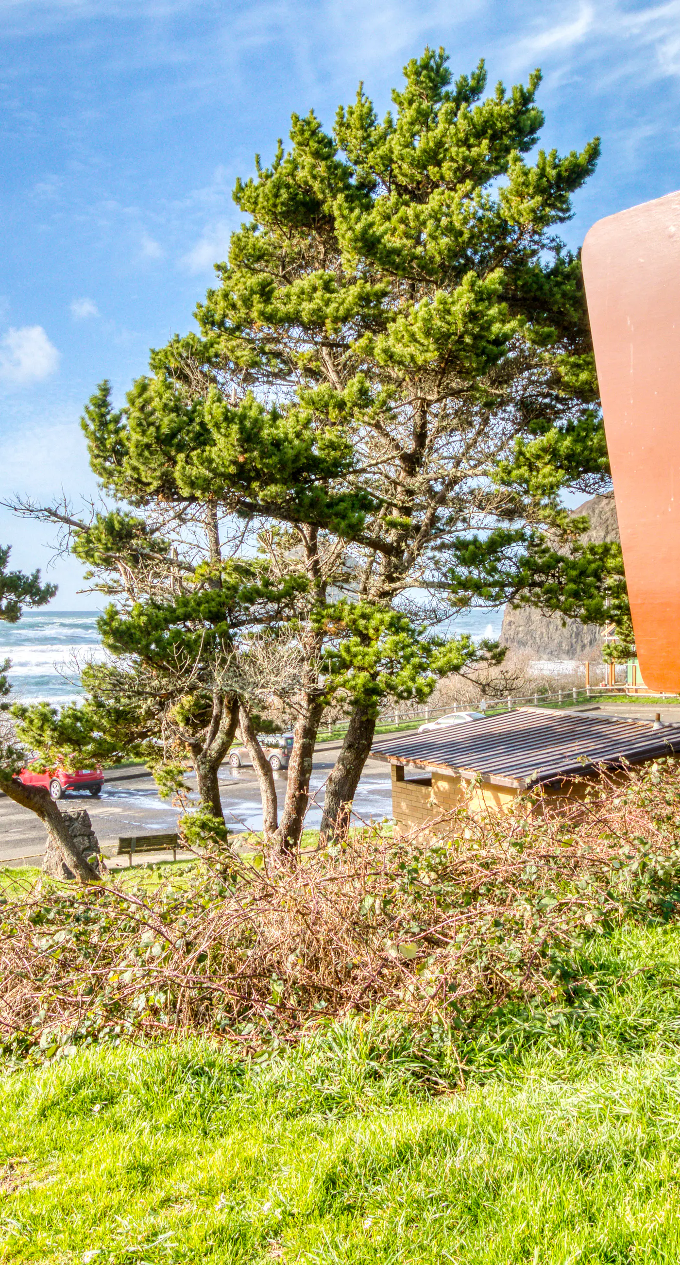Contemporary built dog friendly house with partial ocean views