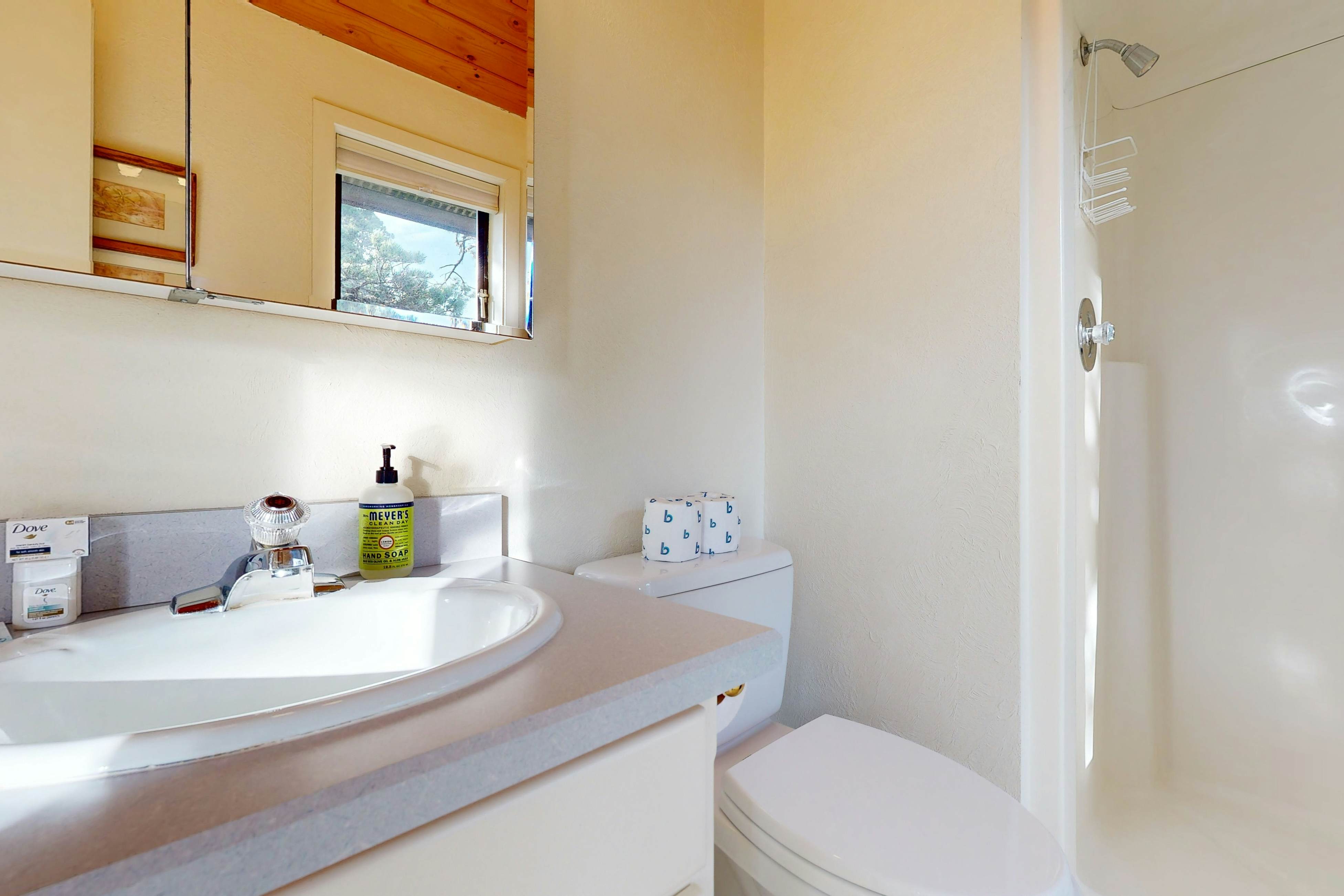 Oceanfront home w/ WiFi, two balconies & lovely views - dogs are welcome