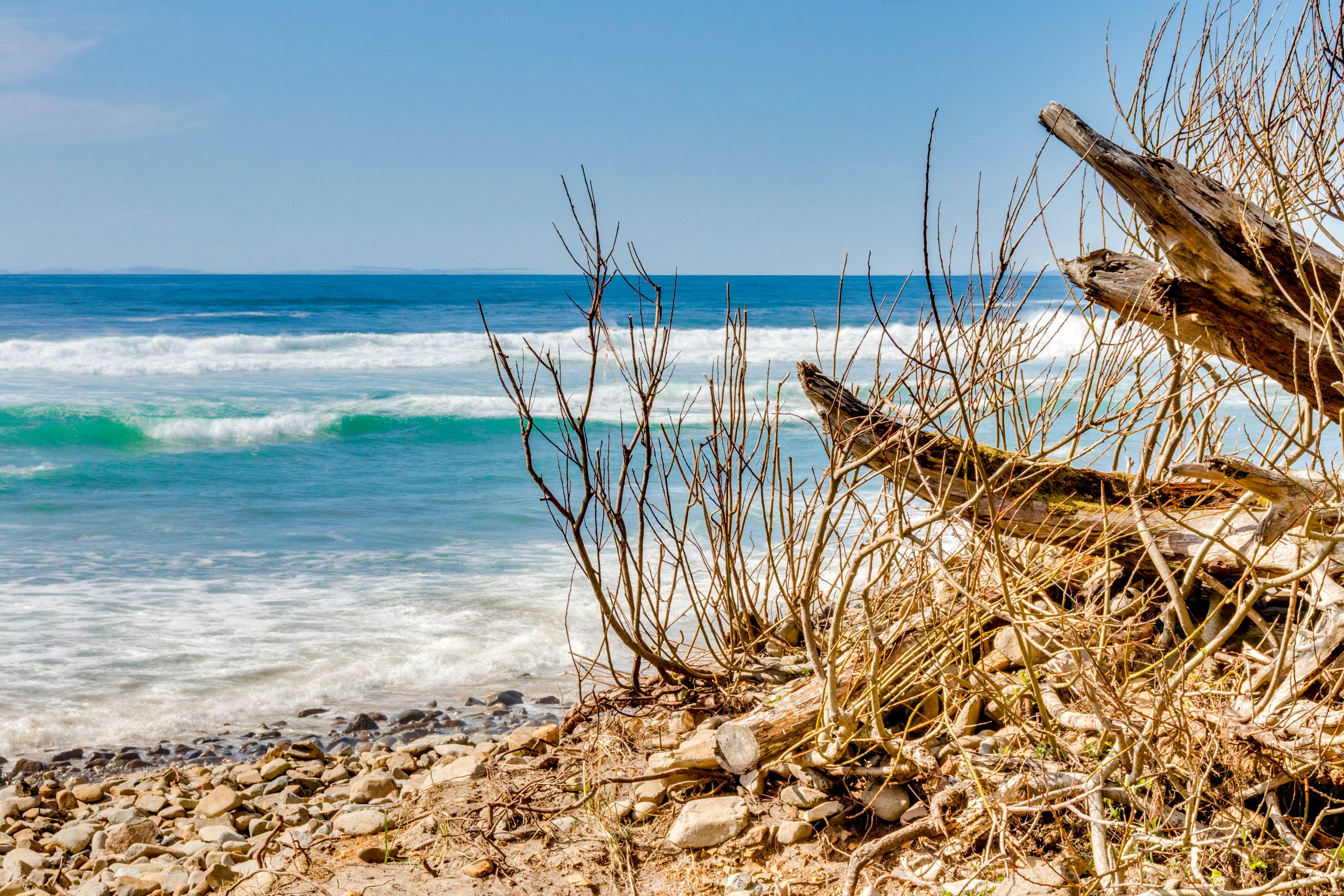 Cozy cabin with fireplace & WiFi, fishing & boats welcome - dog friendly