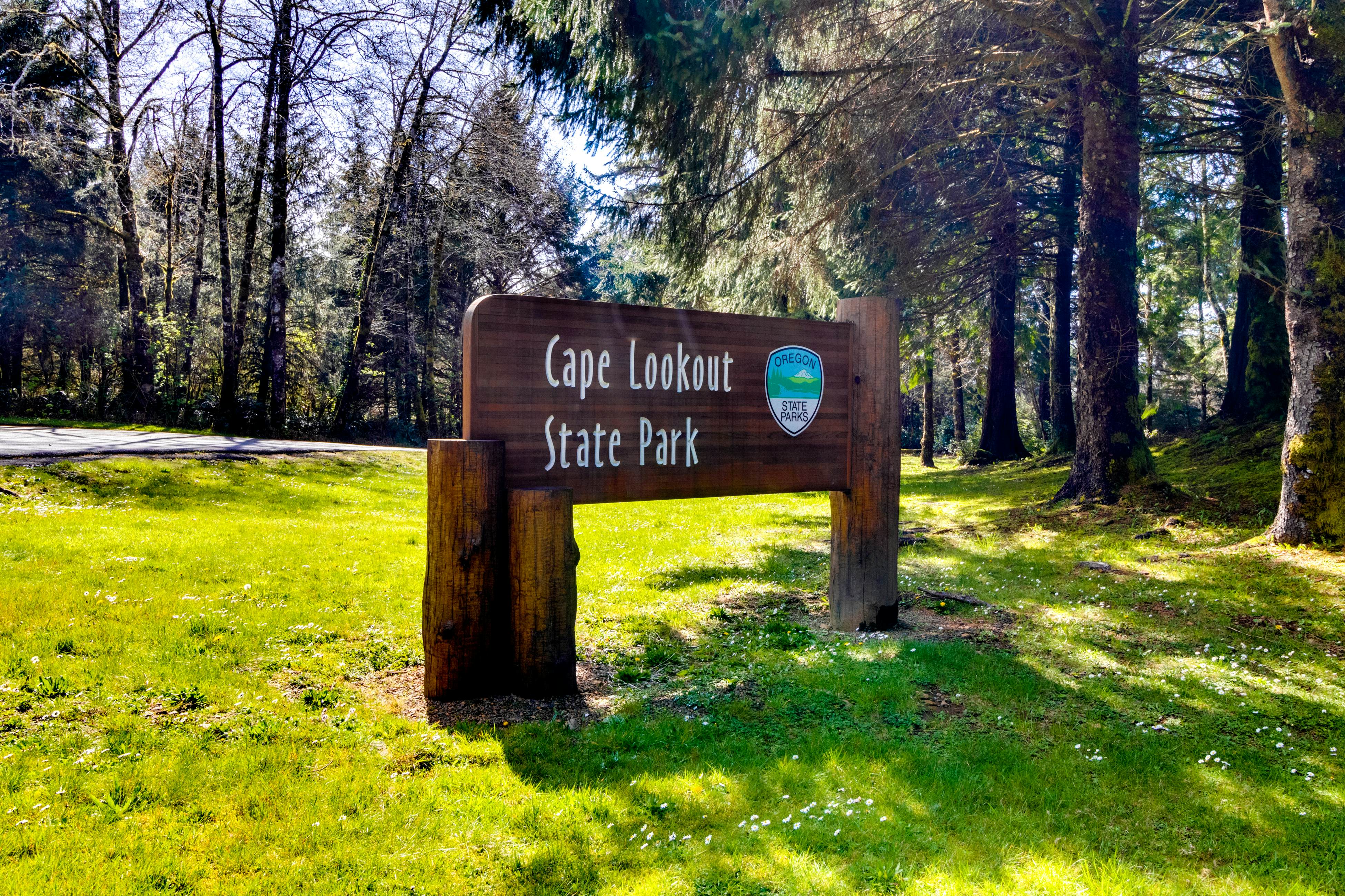 Cozy cabin with fireplace & WiFi, fishing & boats welcome - dog friendly