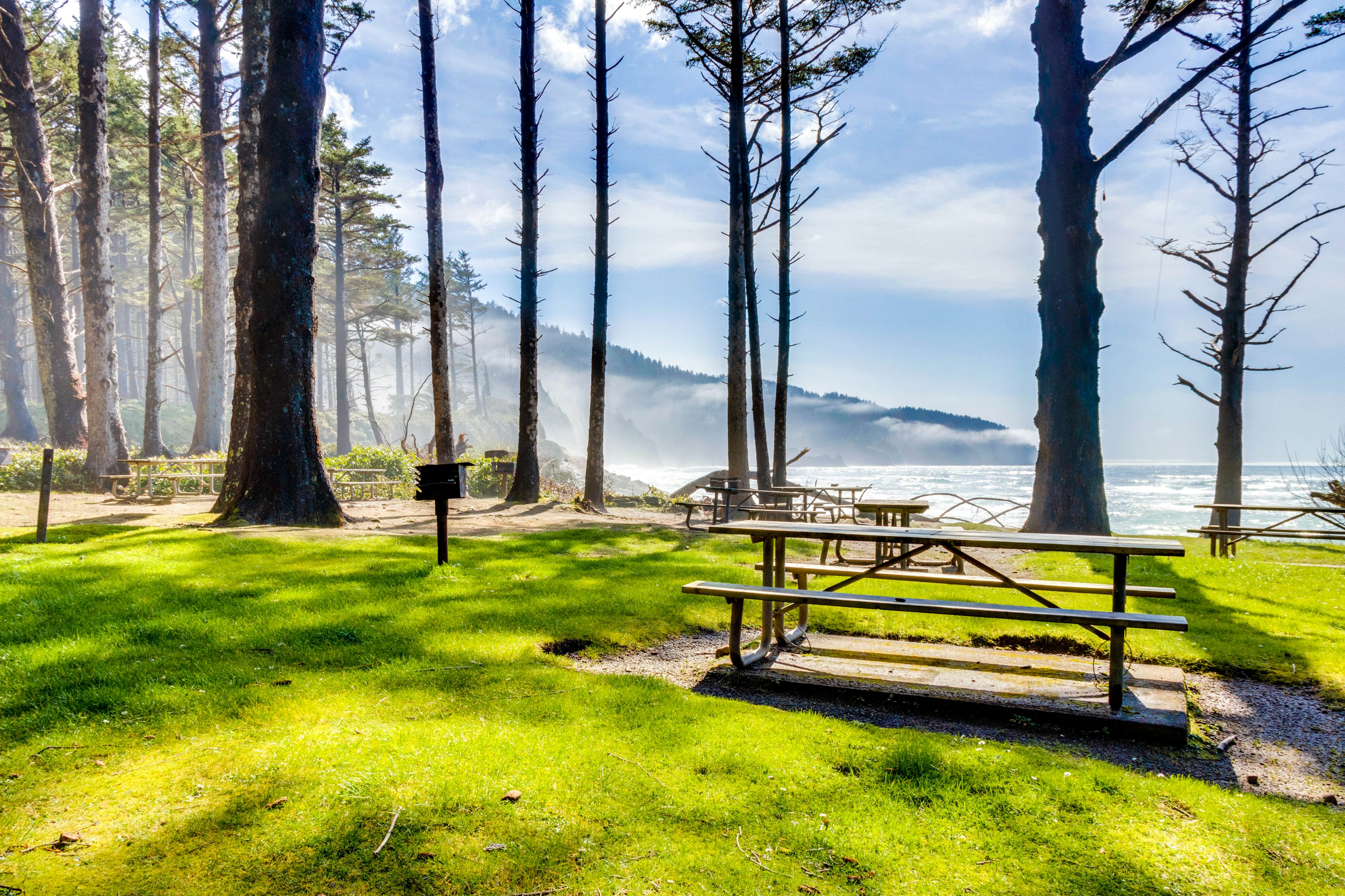 Cozy cabin with fireplace & WiFi, fishing & boats welcome - dog friendly