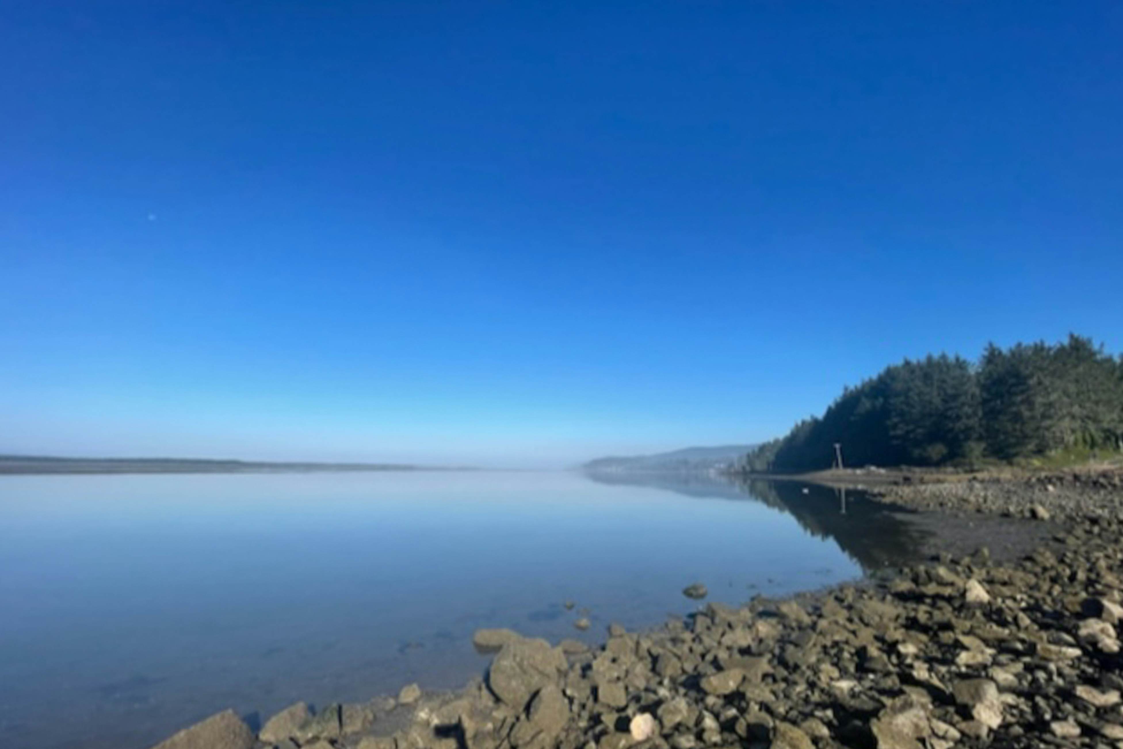 Renovated, dog-friendly cottage with a covered porch, deck, yard, & washer/dryer