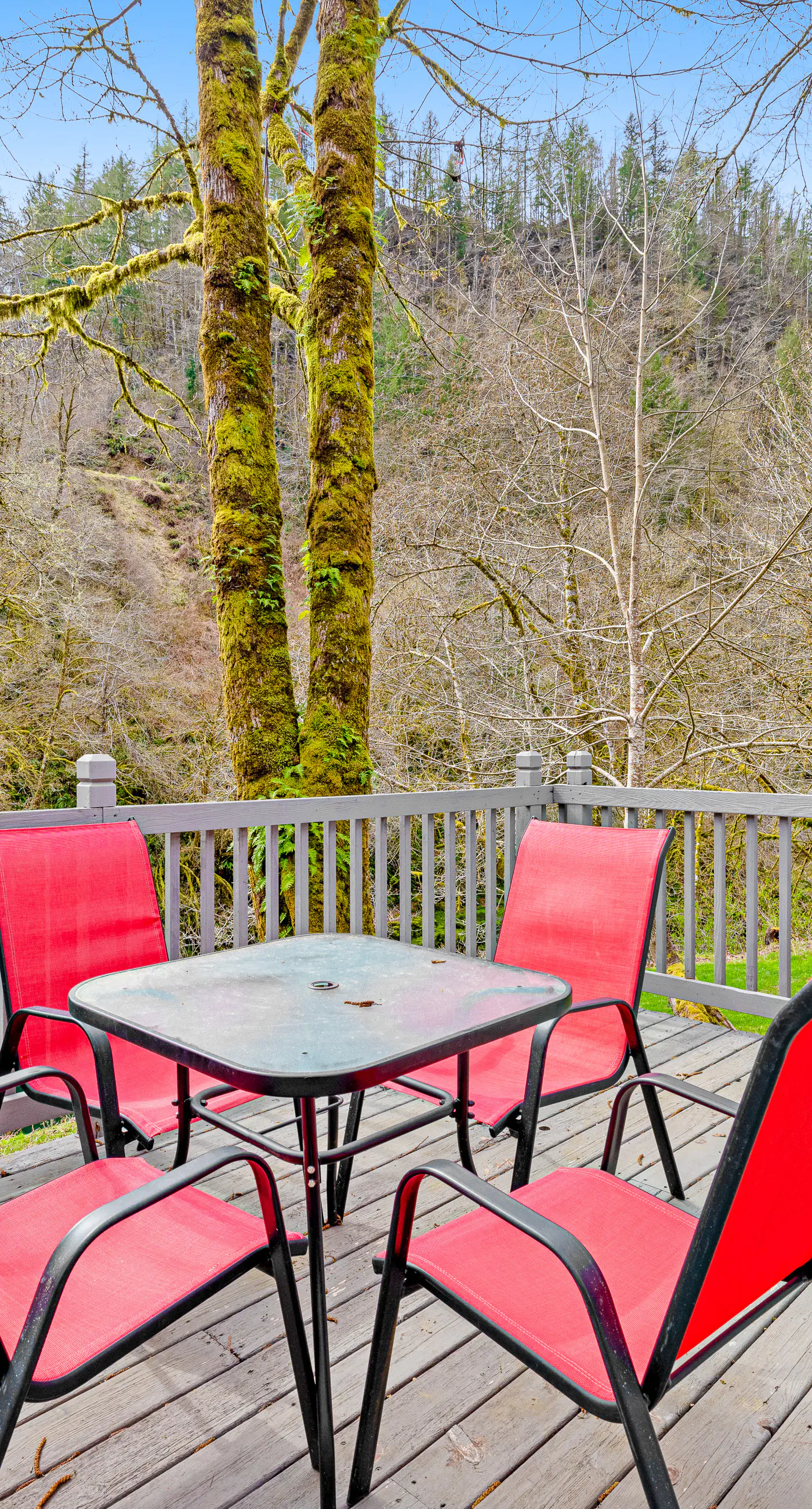 Dog friendly waterfront home on the Wilson River with great views deck and WiFi