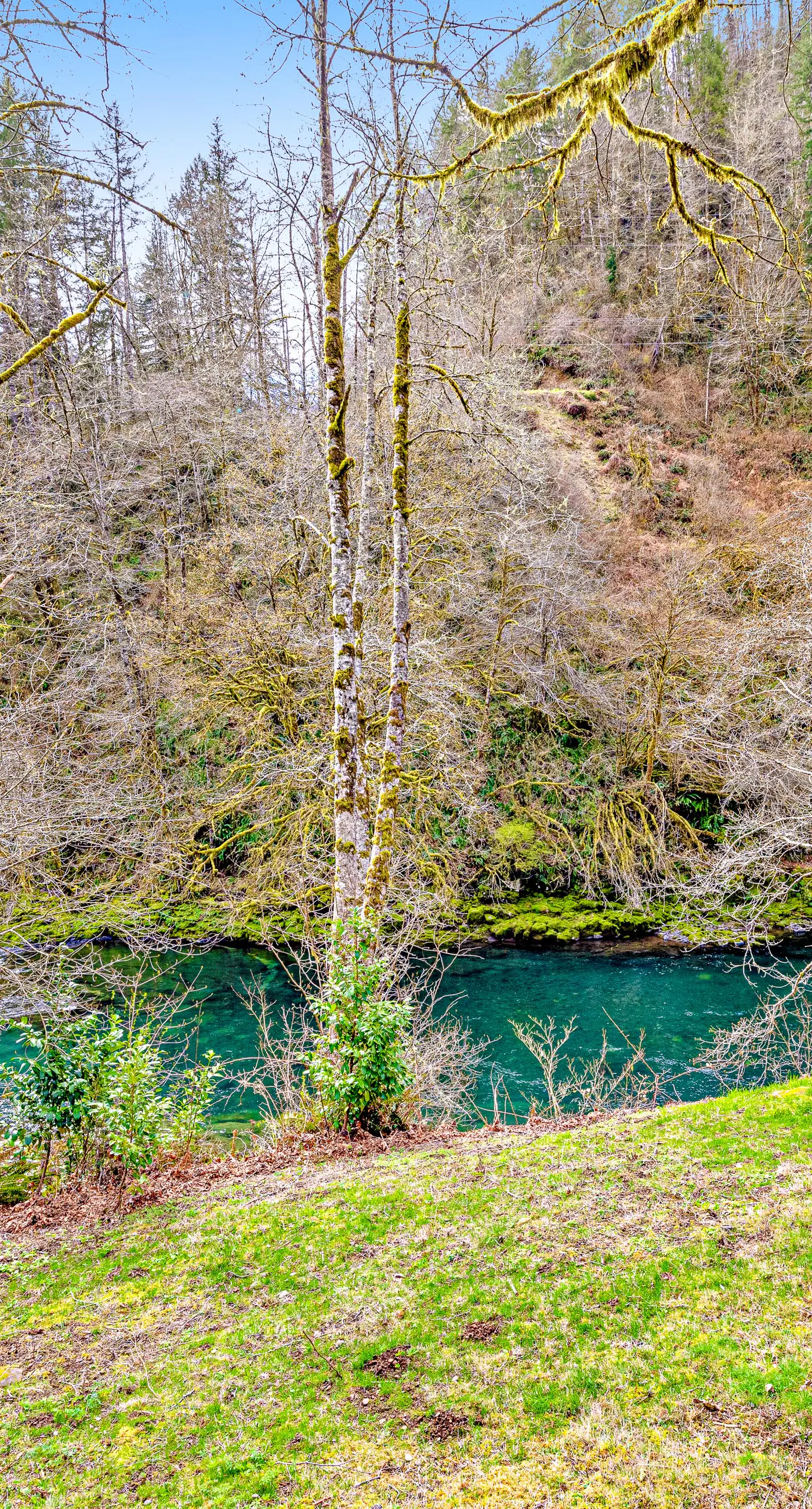 Dog friendly waterfront home on the Wilson River with great views deck and WiFi