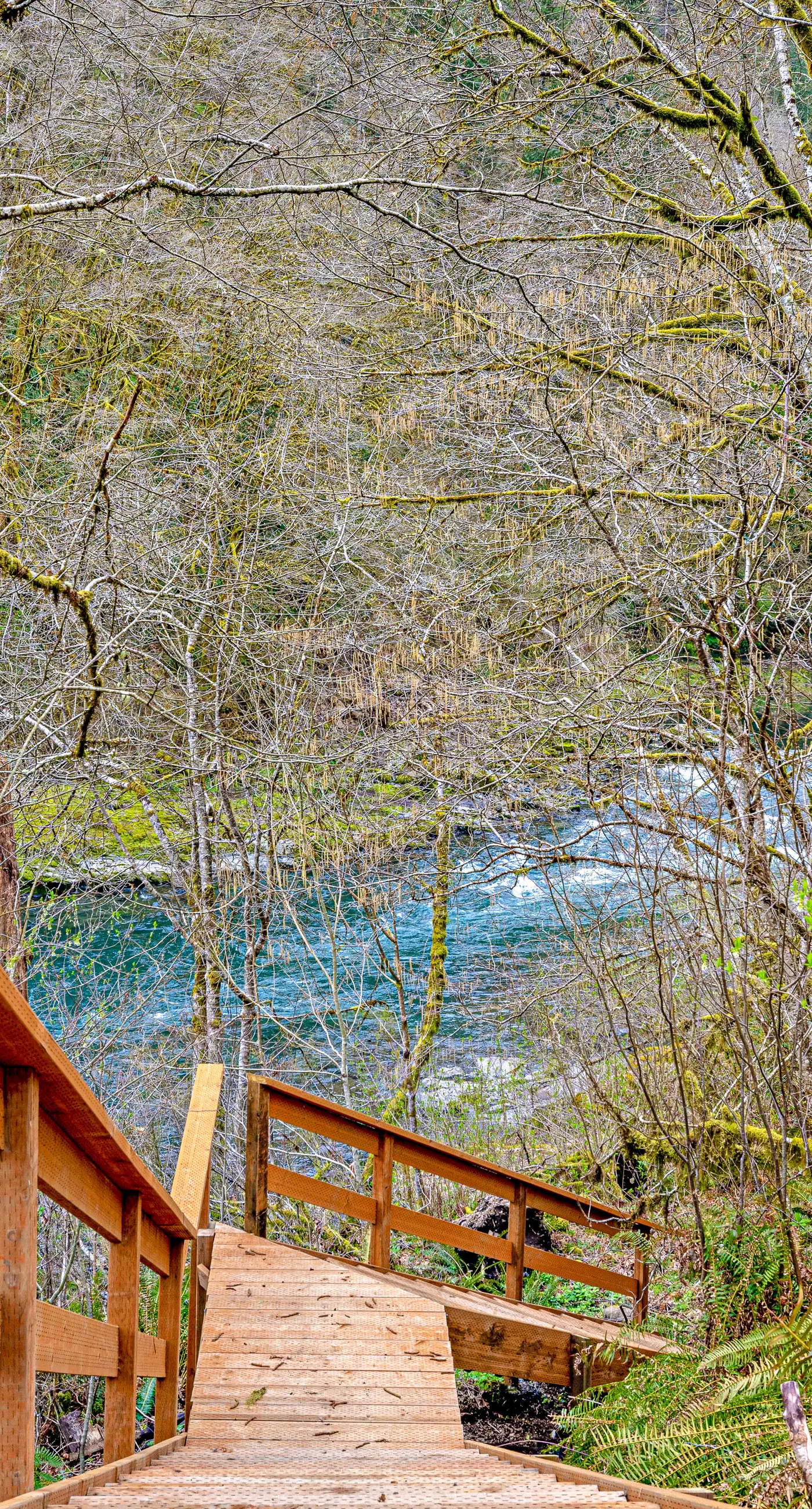 Dog friendly waterfront home on the Wilson River with great views deck and WiFi