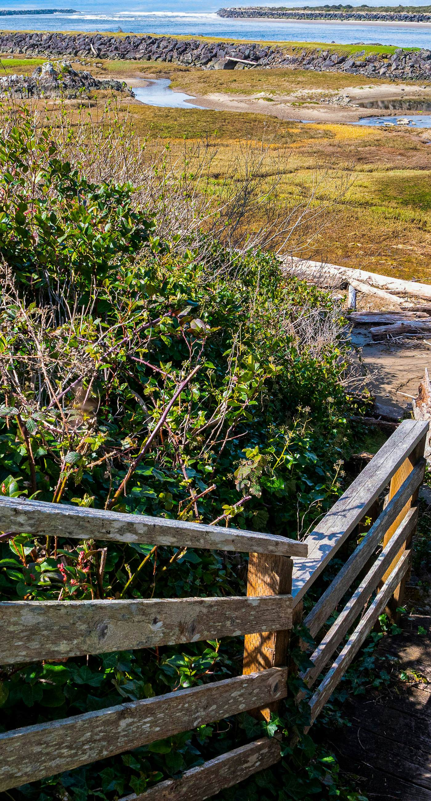 Delightful dog friendly home with bay views private hot tub and sauna