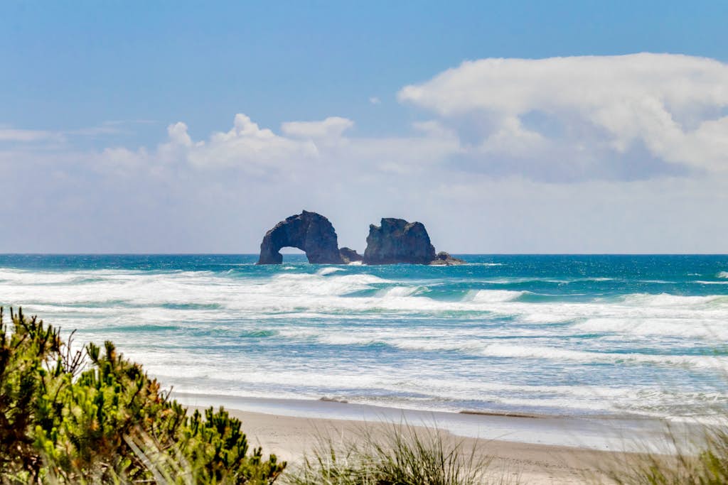 Dog friendly home close to the beach with patio BBQ and WiFi