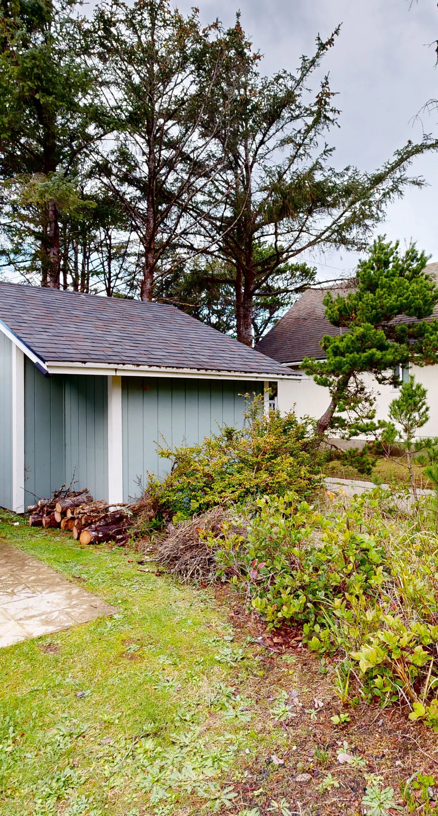 Dog friendly home close to the beach with patio BBQ and WiFi