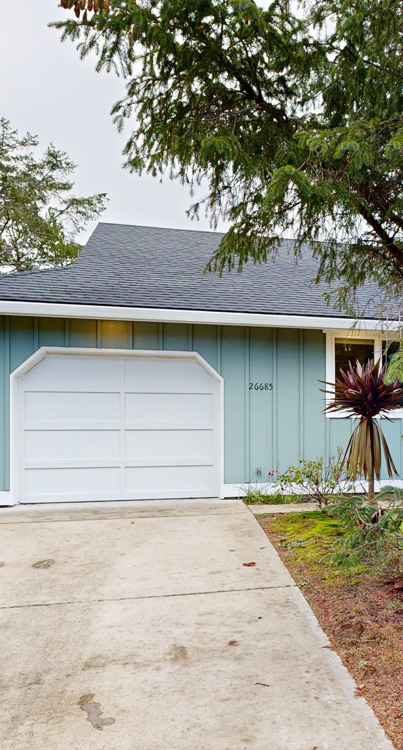 Dog friendly home close to the beach with patio BBQ and WiFi