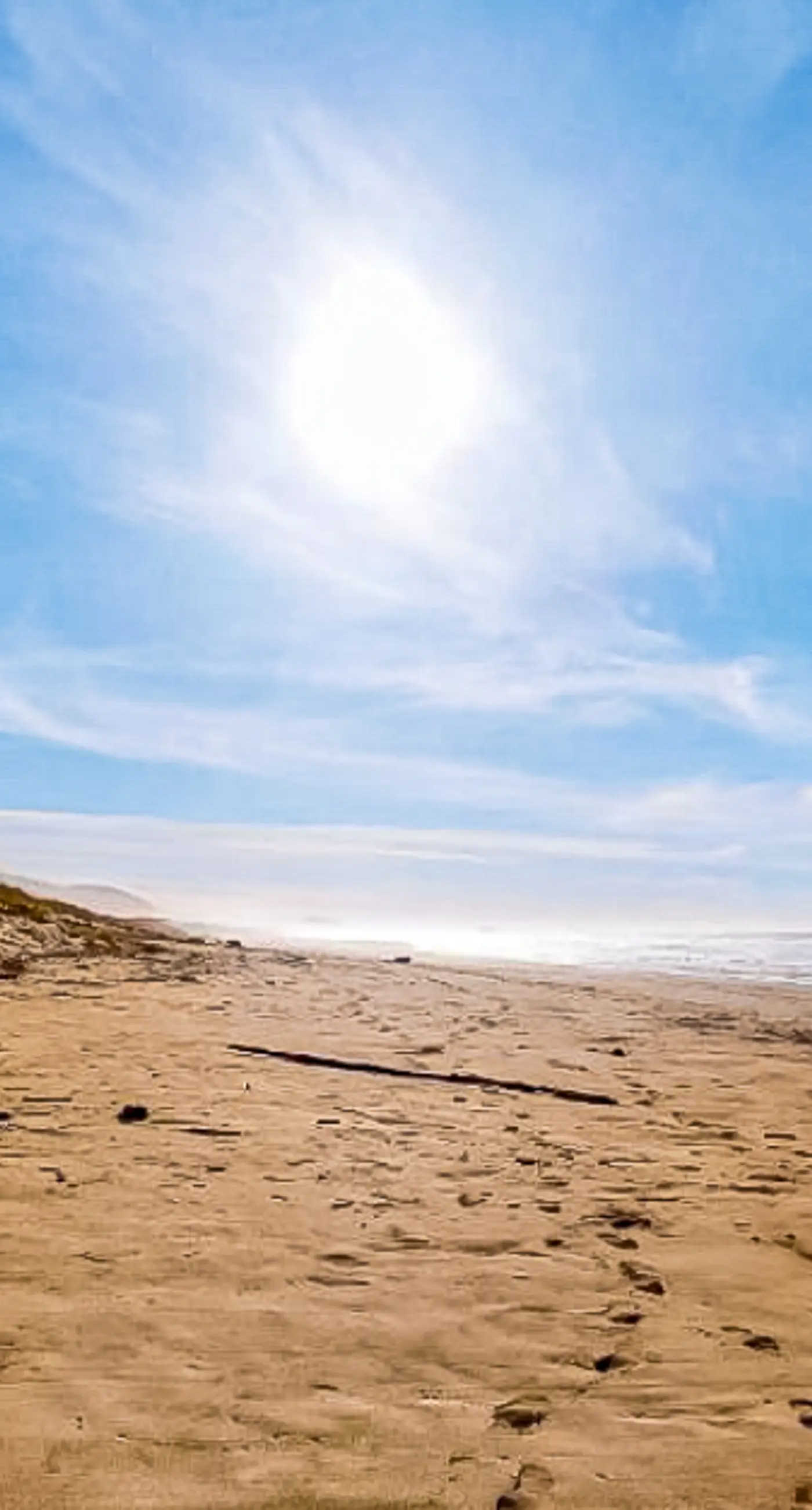 Dog friendly home close to the beach with patio BBQ and WiFi